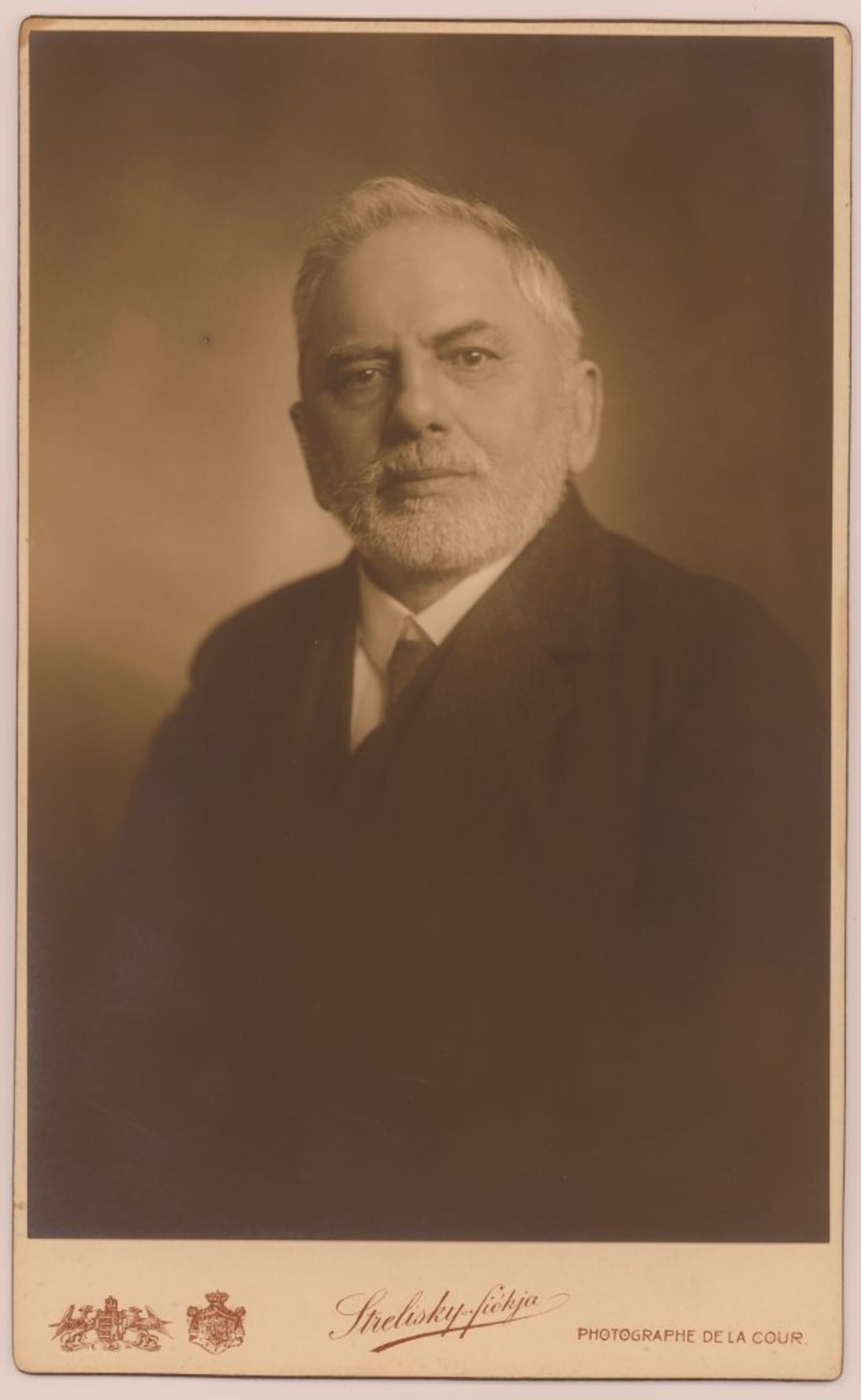 Angyal Dávid portréja