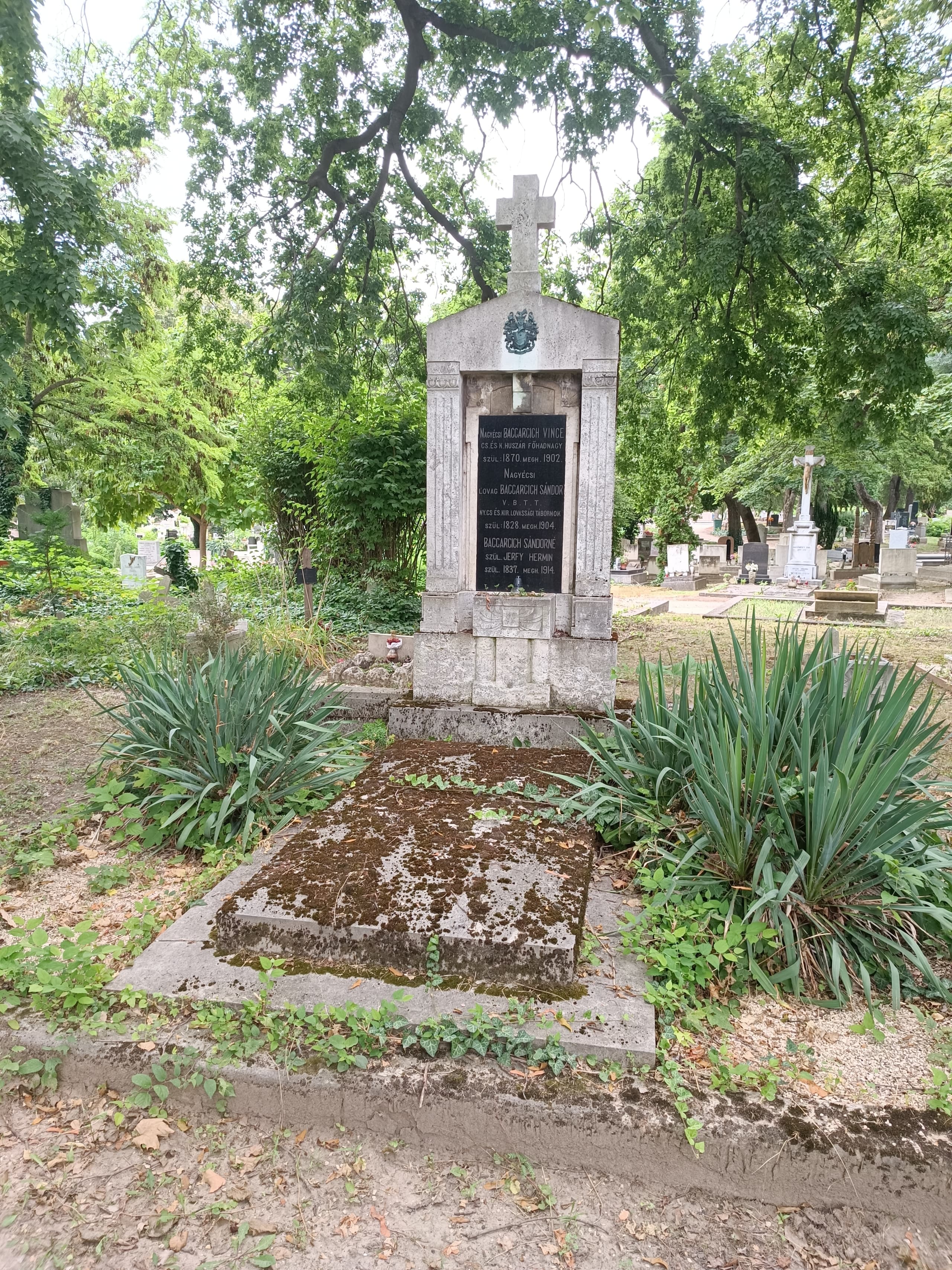 nagyécsi Baccarcich Sándor sírja