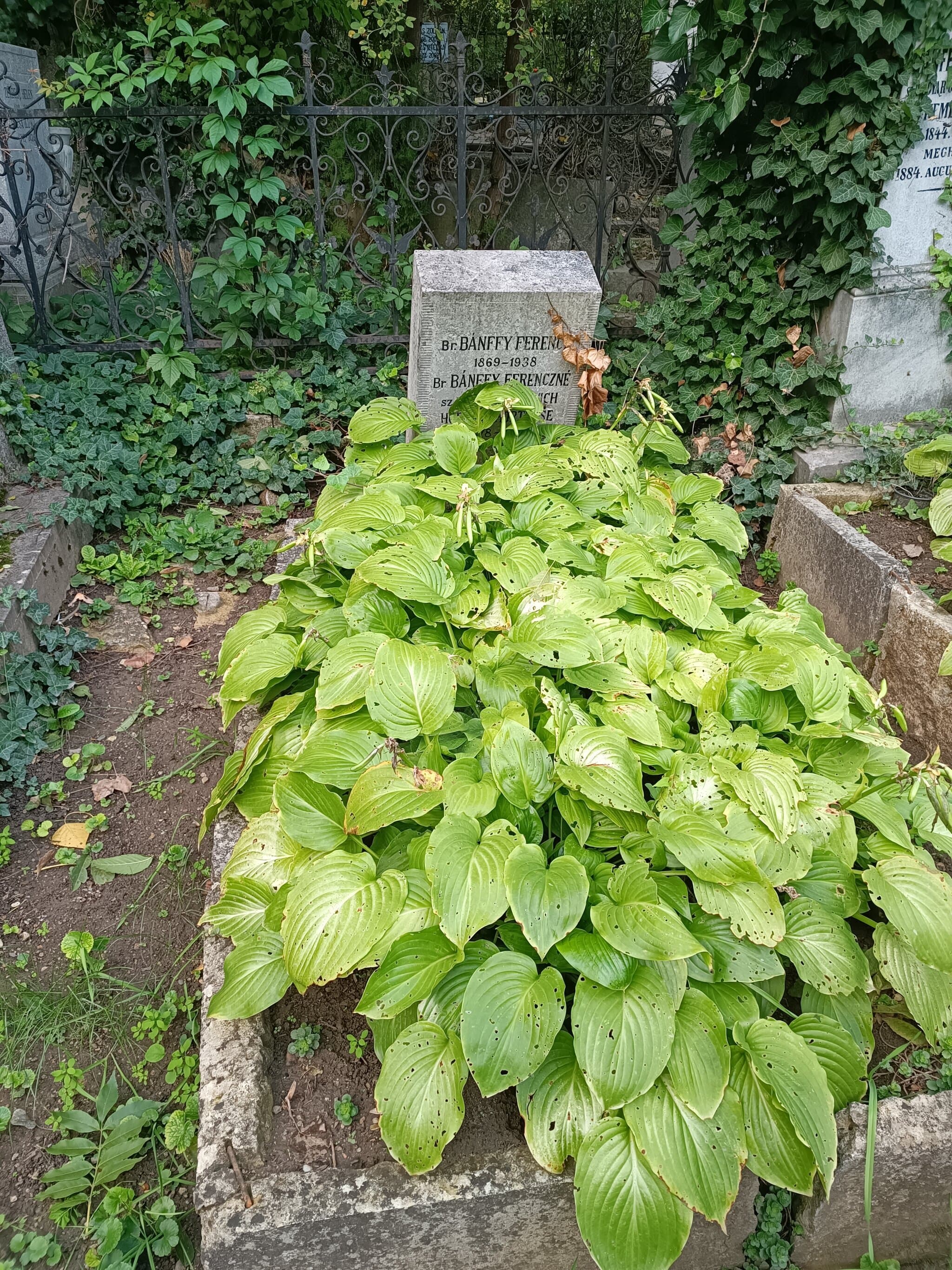 losonczi báró Bánffy Ferenc sírja