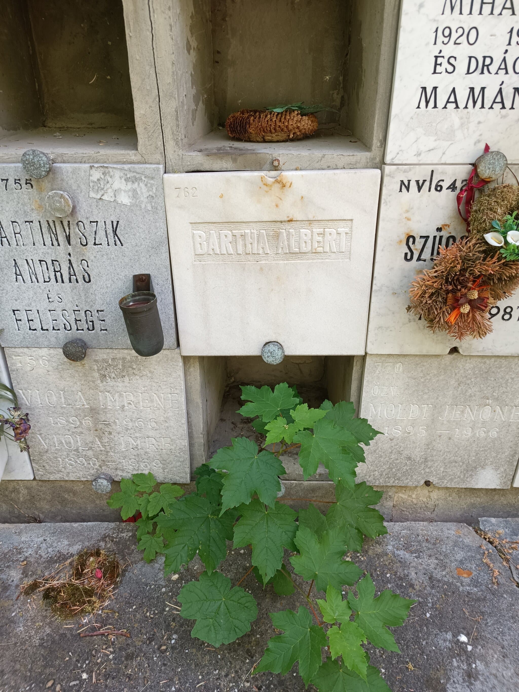 nagyborosnyói Bartha Albert sírja