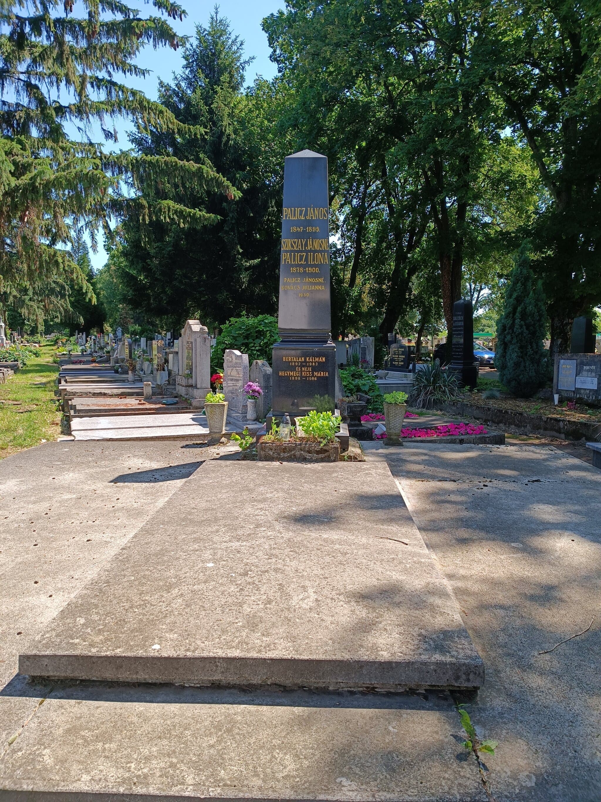Bertalan Kálmán sírja