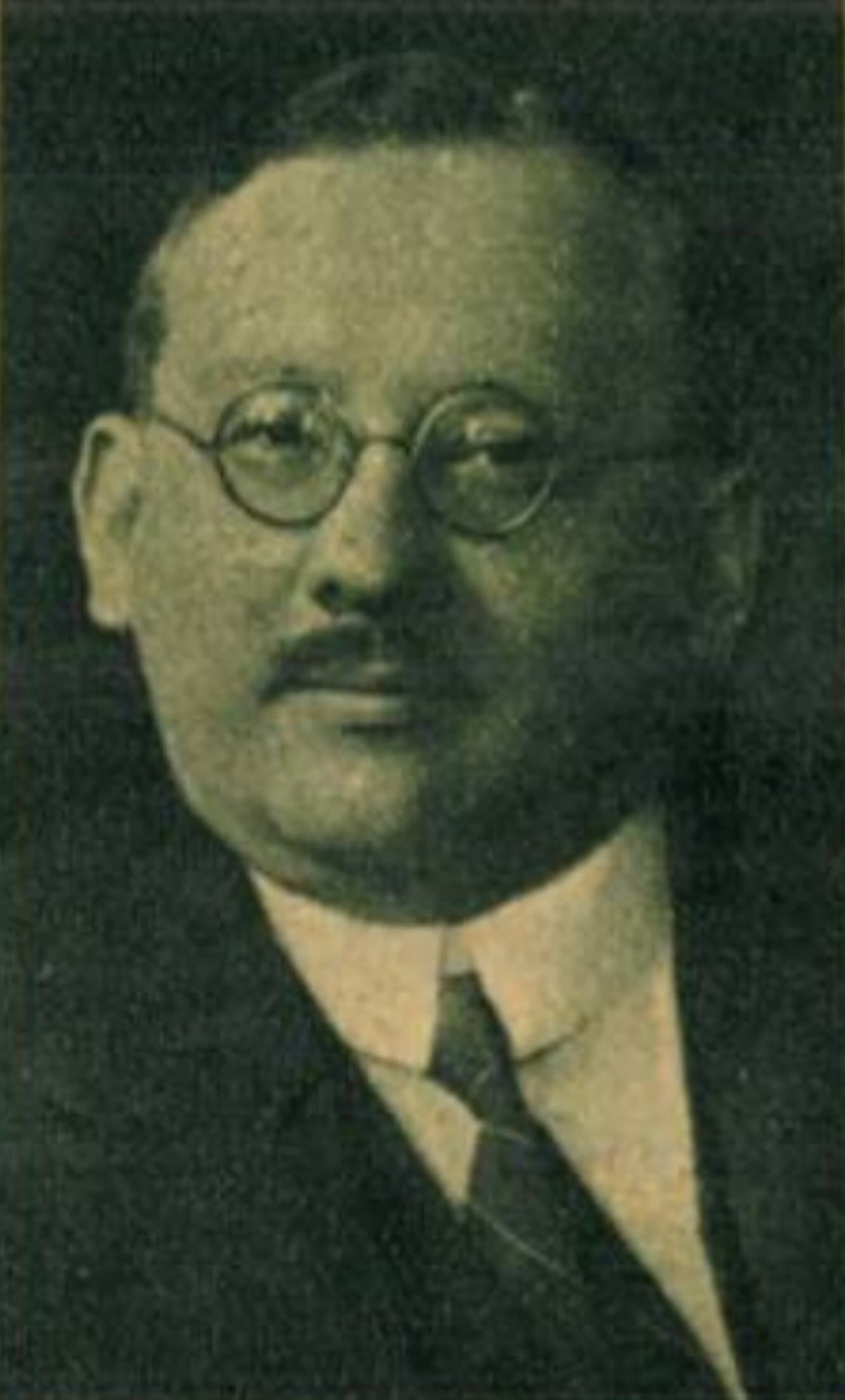 Bogsch Árpád portréja