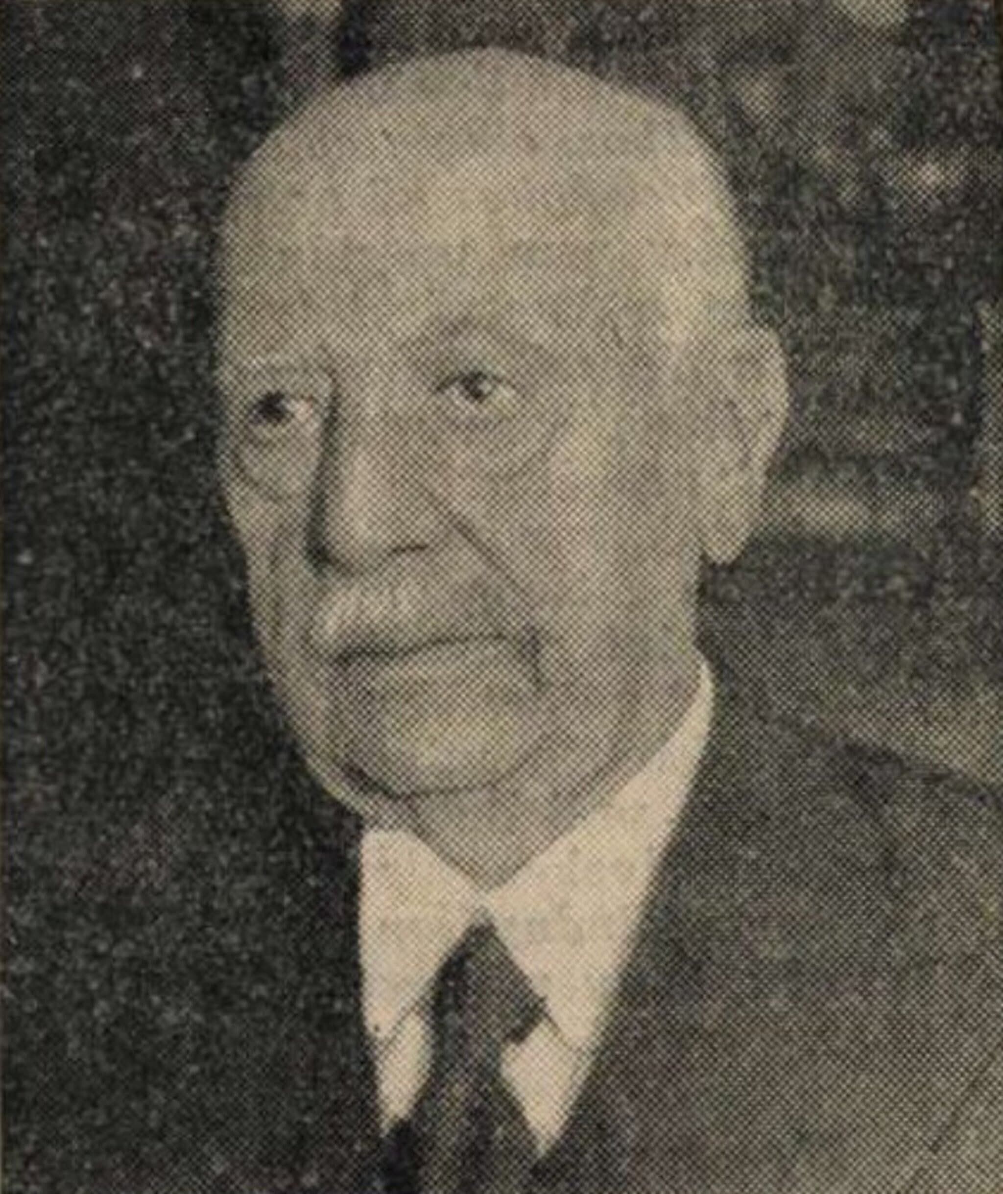 Boytha József portréja
