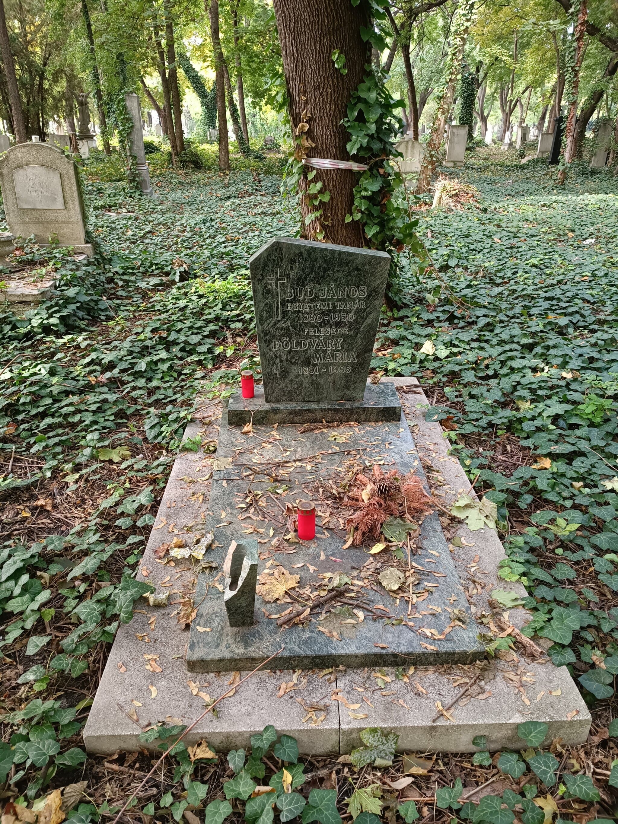 budfalvi Bud János sírja