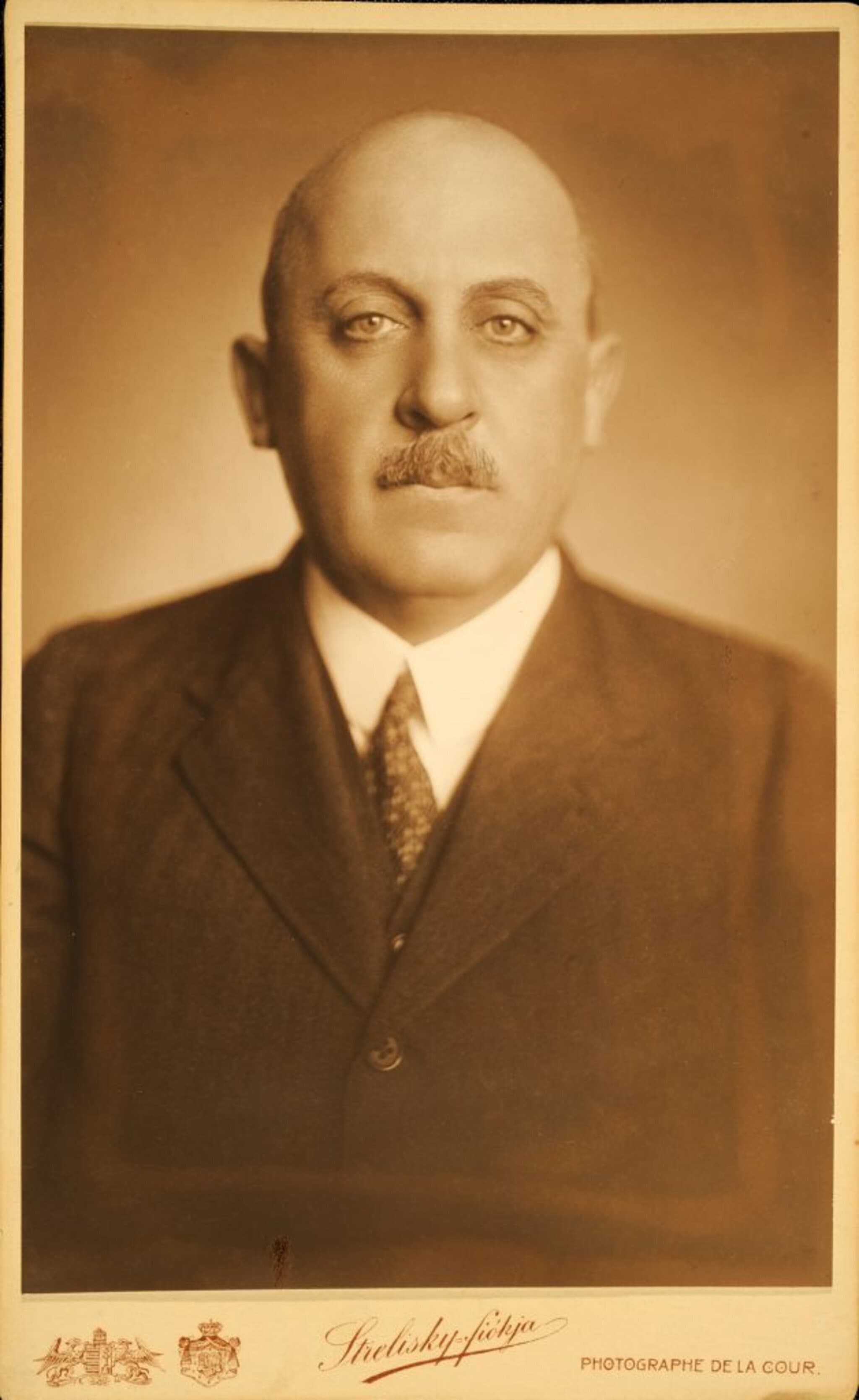 Buday-Goldberger Leó portréja