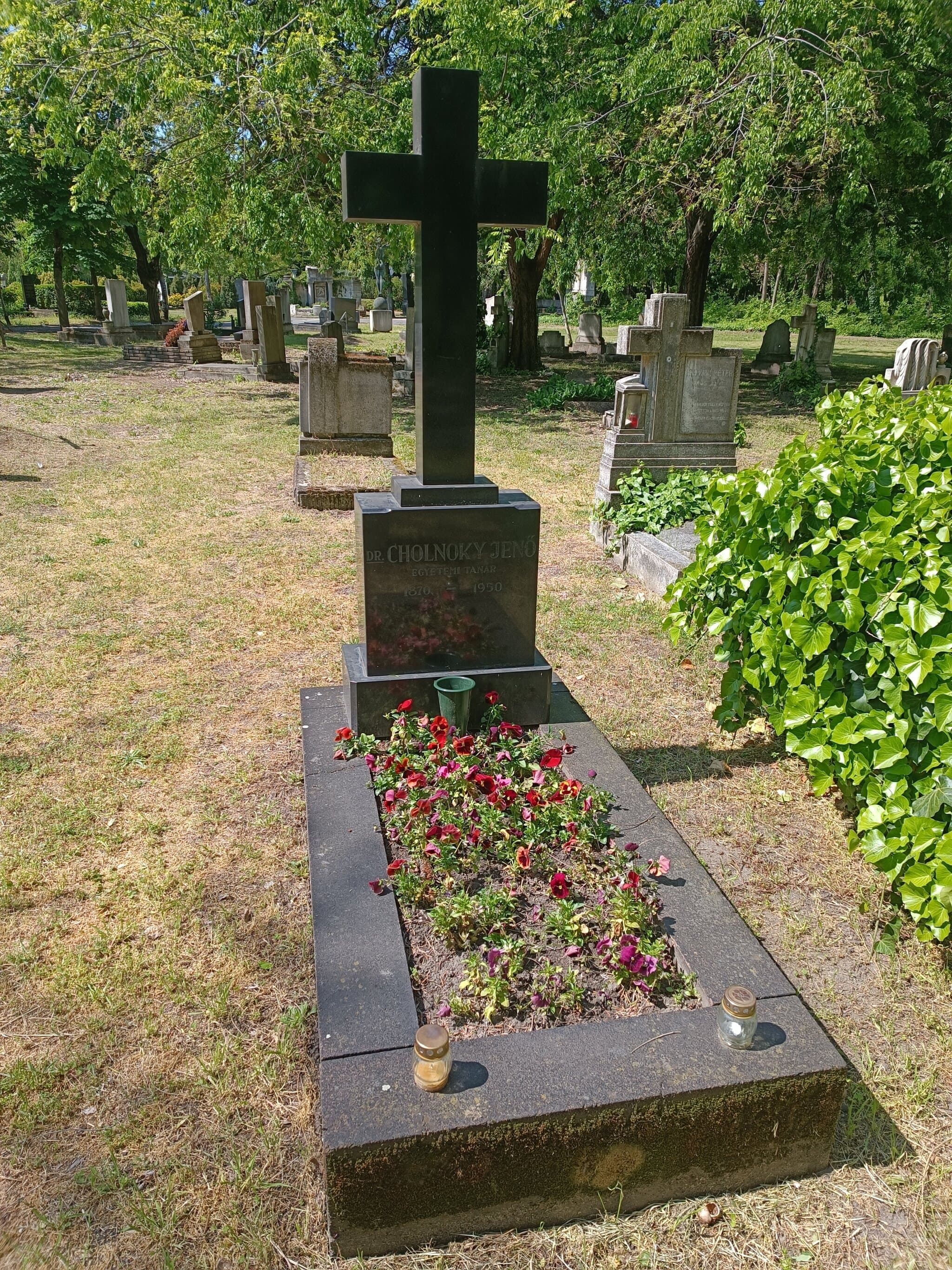 csolnokosi Cholnoky Jenő sírja