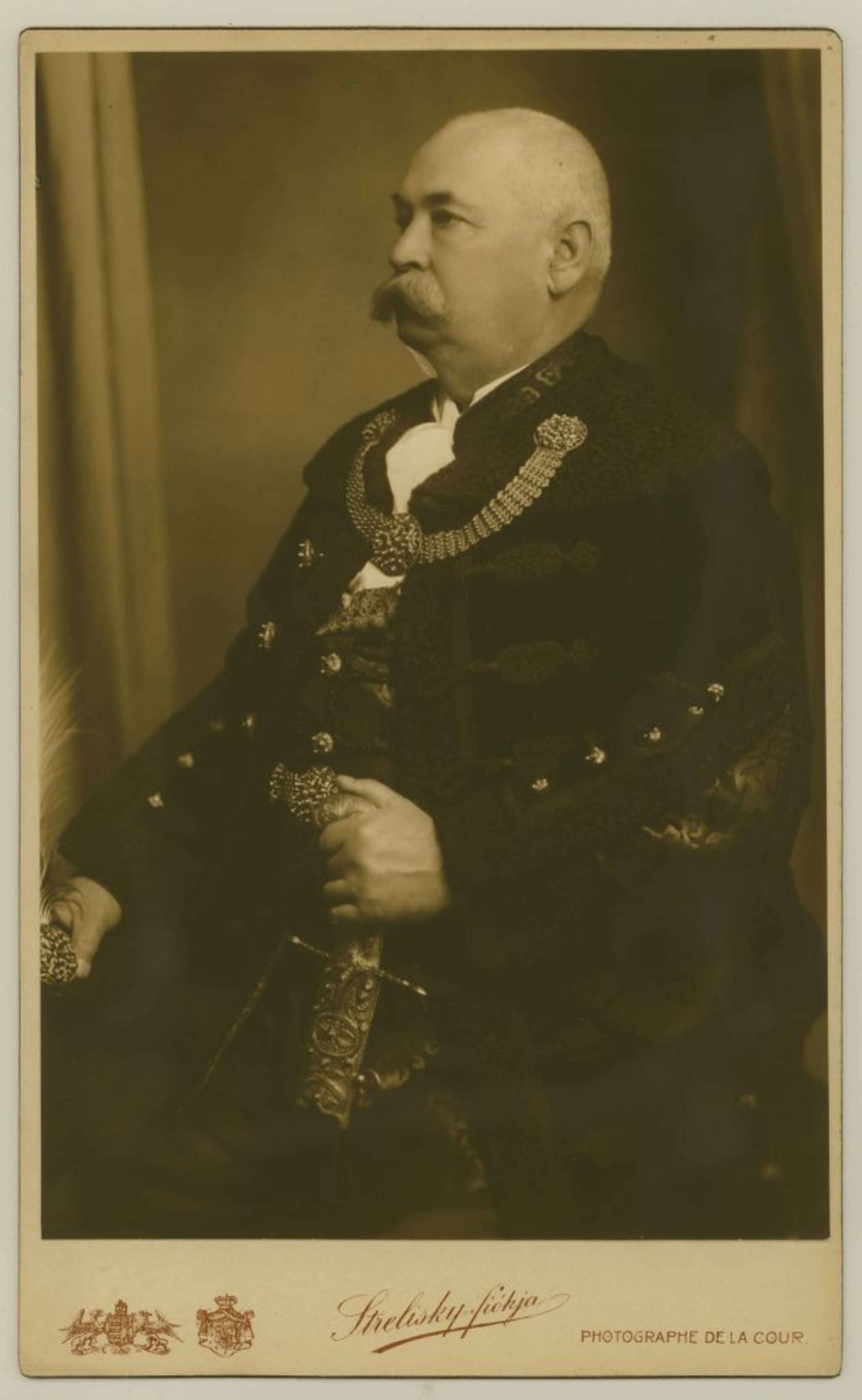 Cicatricis Lajos portréja