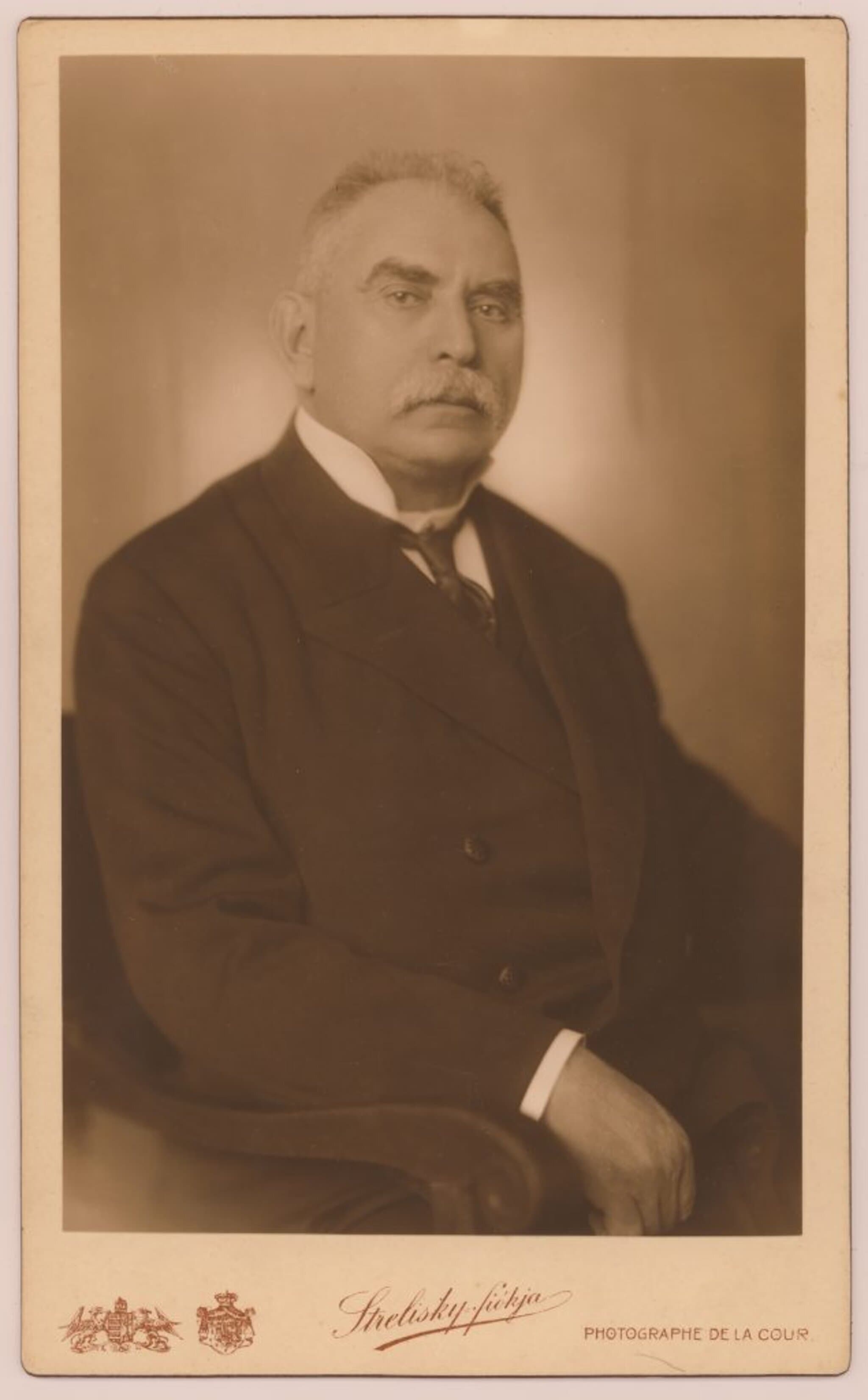 D. Kovács Sándor portréja