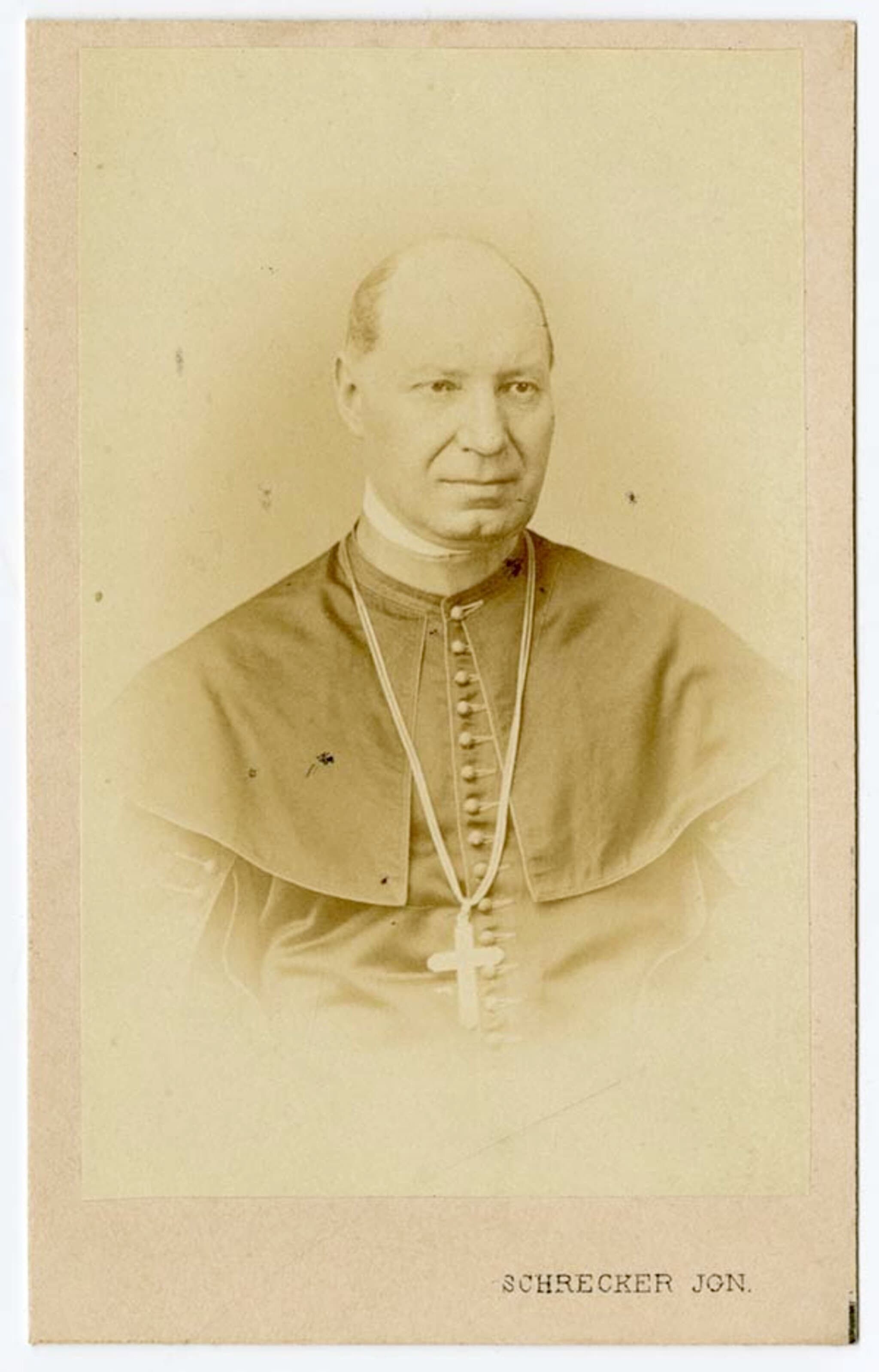 Danielik János portréja
