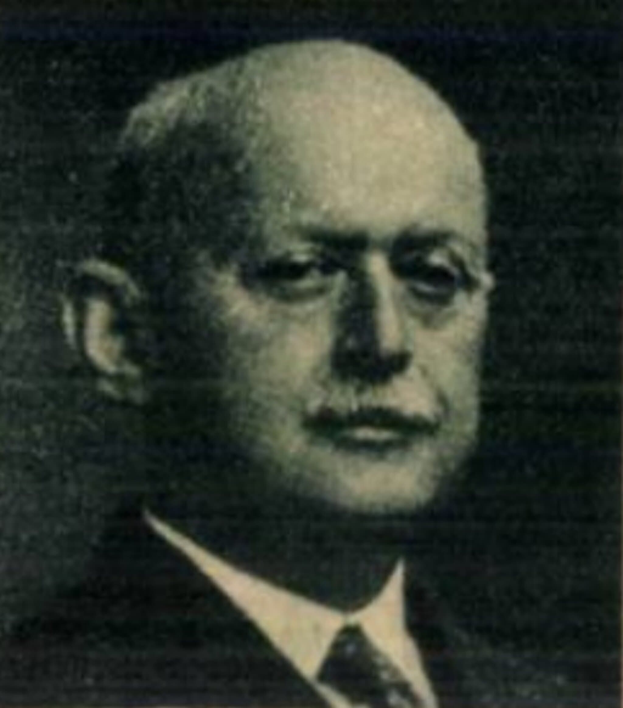 Elischer Vilmos portréja