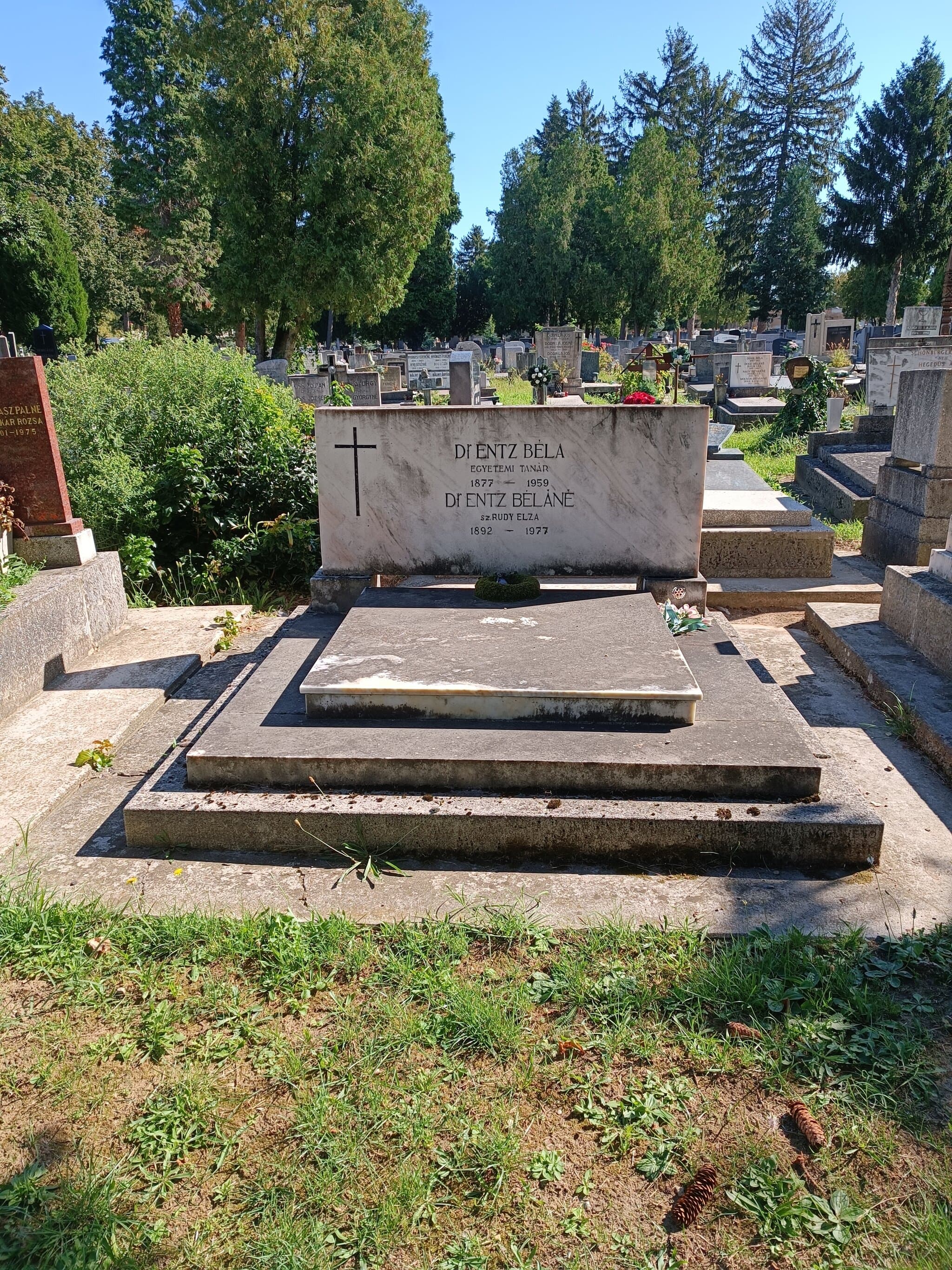 mezőkomáromi Entz Béla sírja