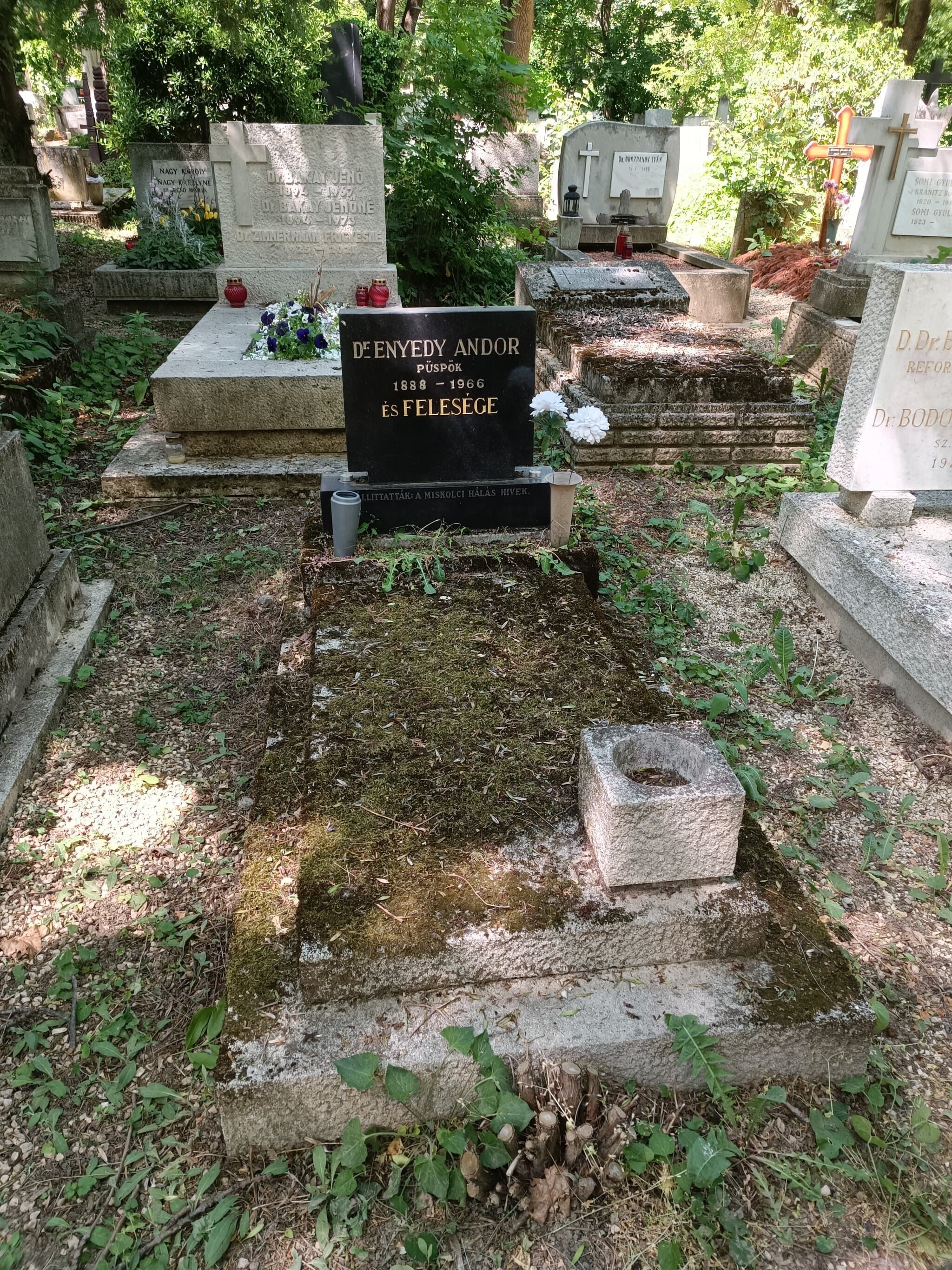Enyedy Andor sírja