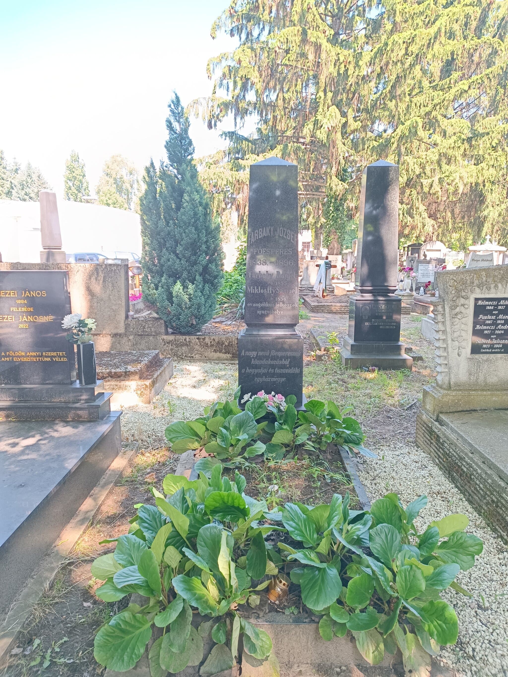 Farbaky József sírja