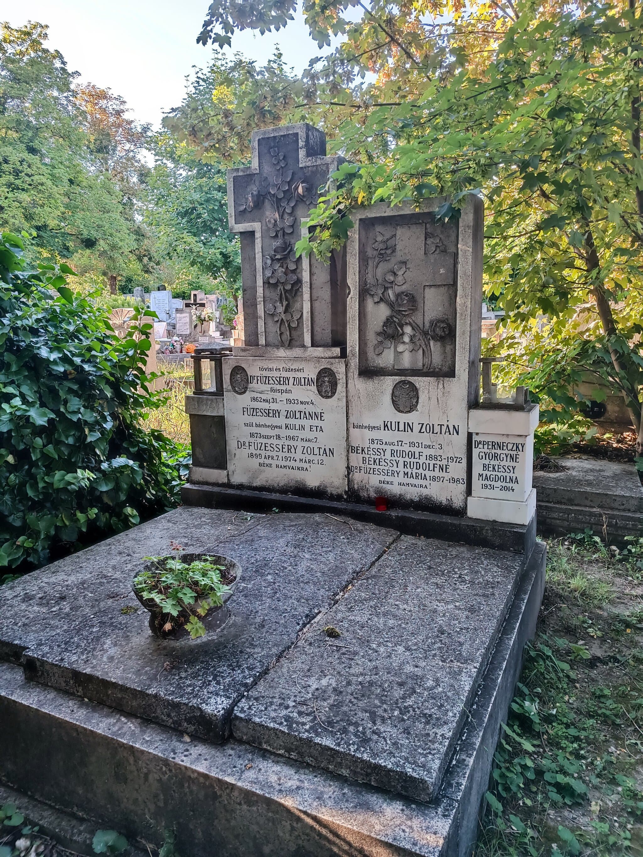 tövisi és füzeséri Füzesséry Zoltán sírja