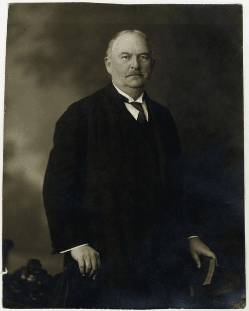Geduly Henrik portréja