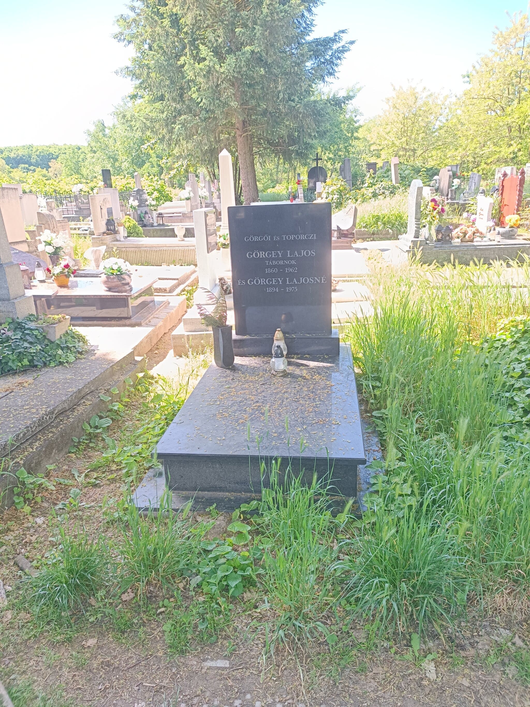 görgői és toporczi Görgey Lajos sírja