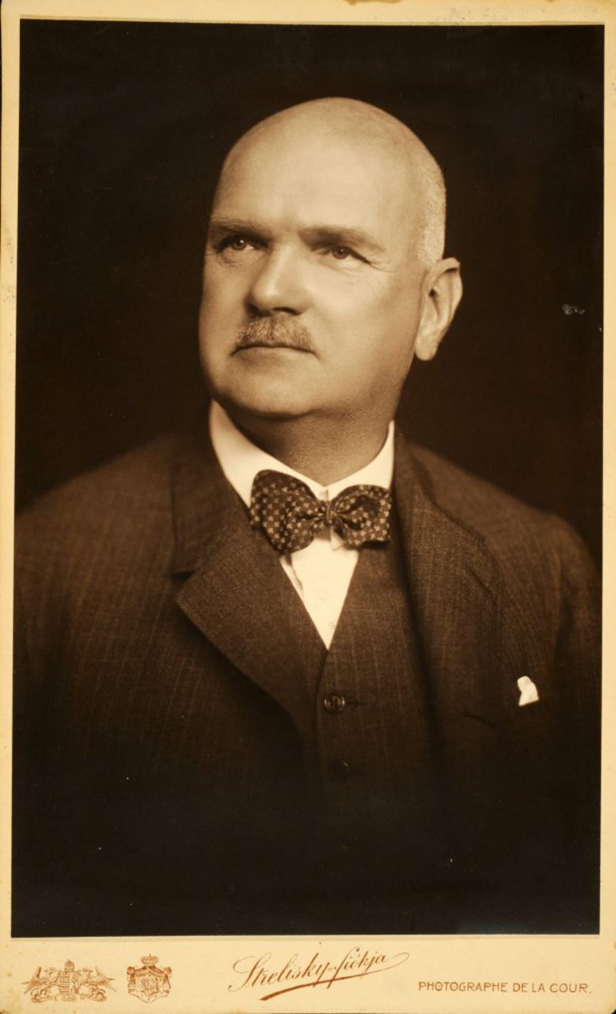 Grüner Tivadar portréja