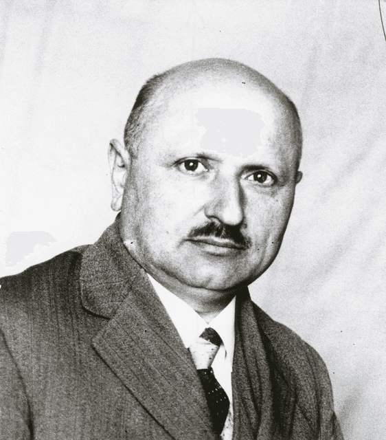Györffy István portréja