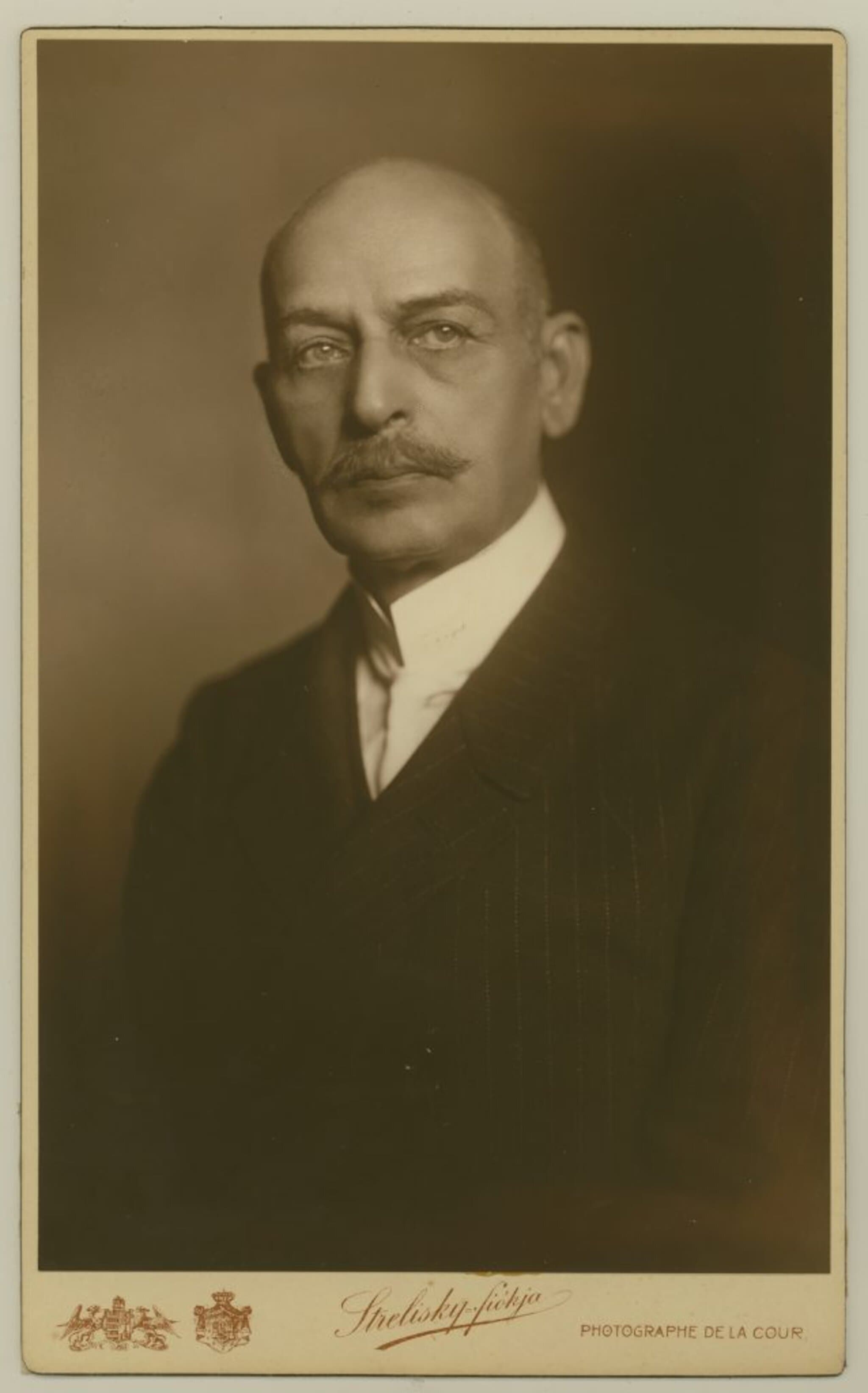 Győry Tibor portréja
