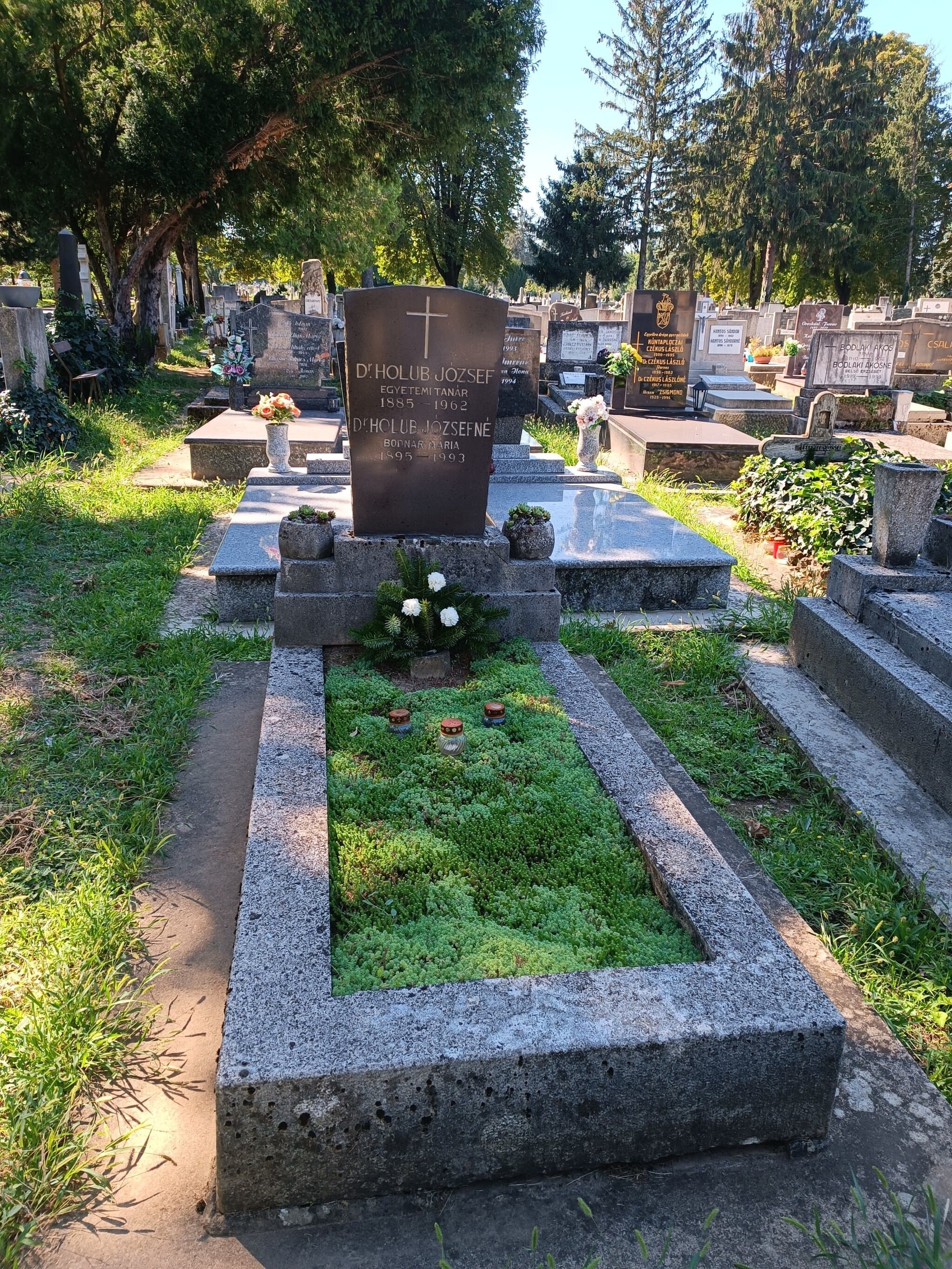 Holub József sírja
