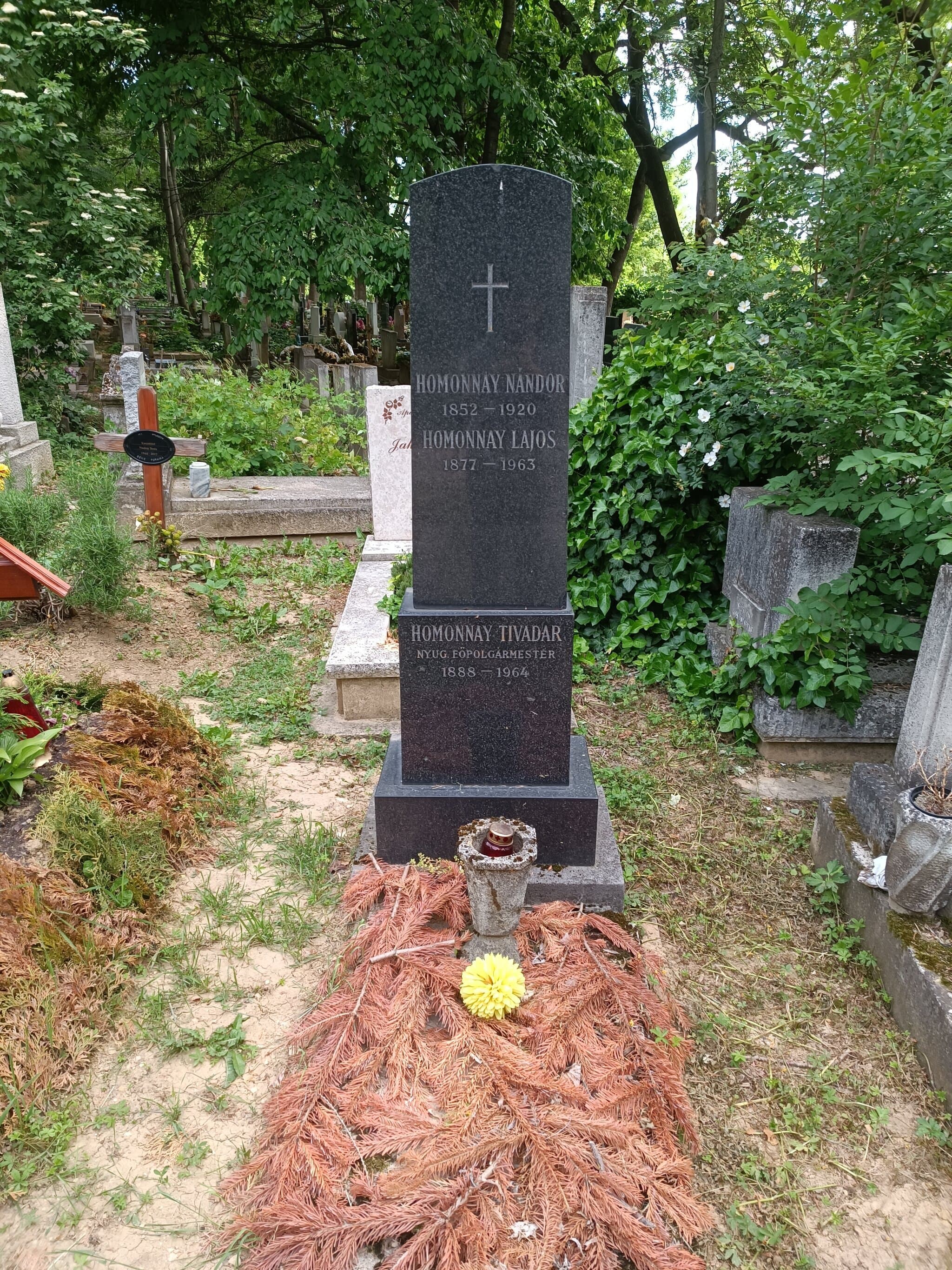 szántói Homonnay Lajos sírja