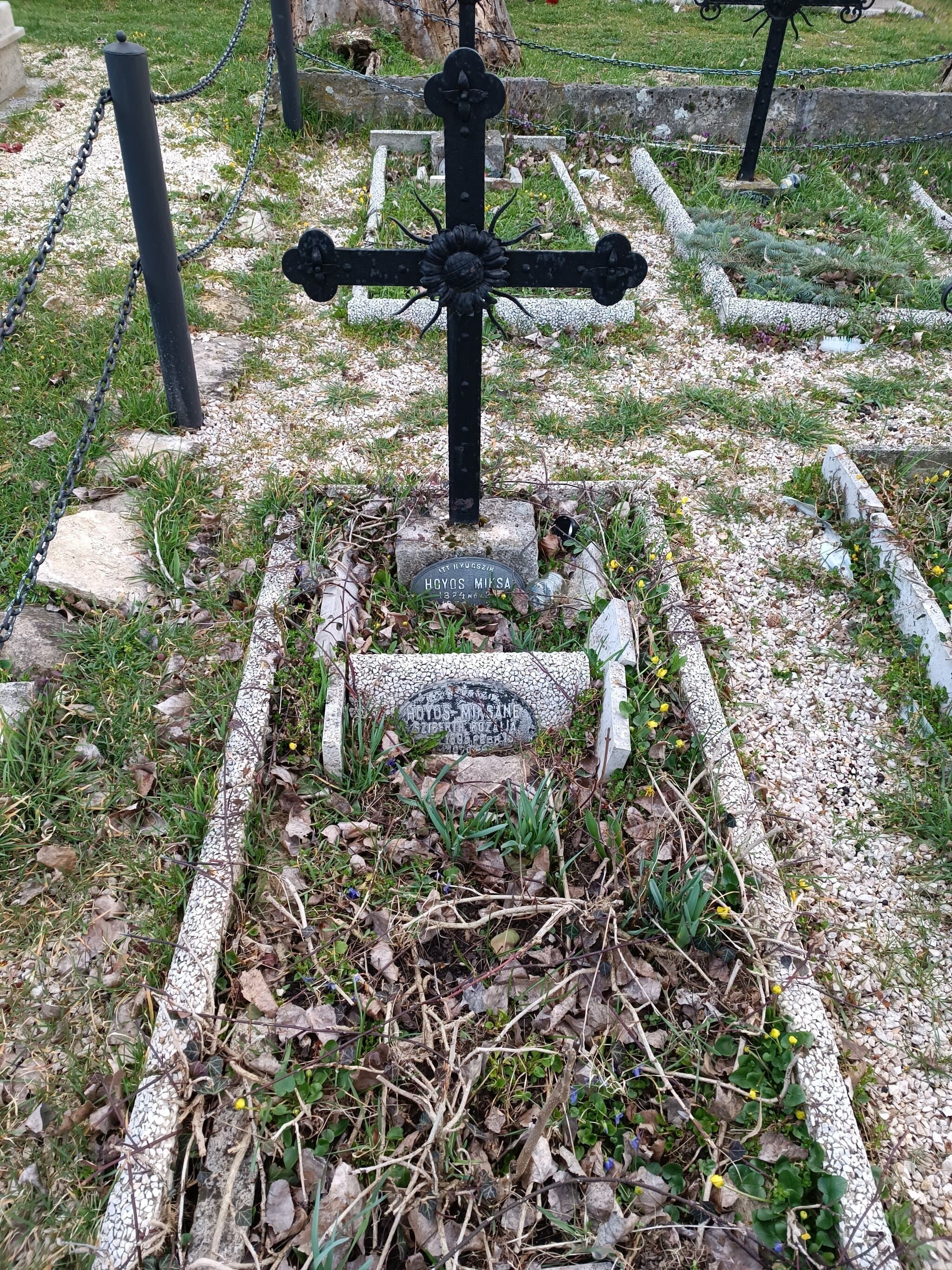 gróf Hoyos Miksa sírja
