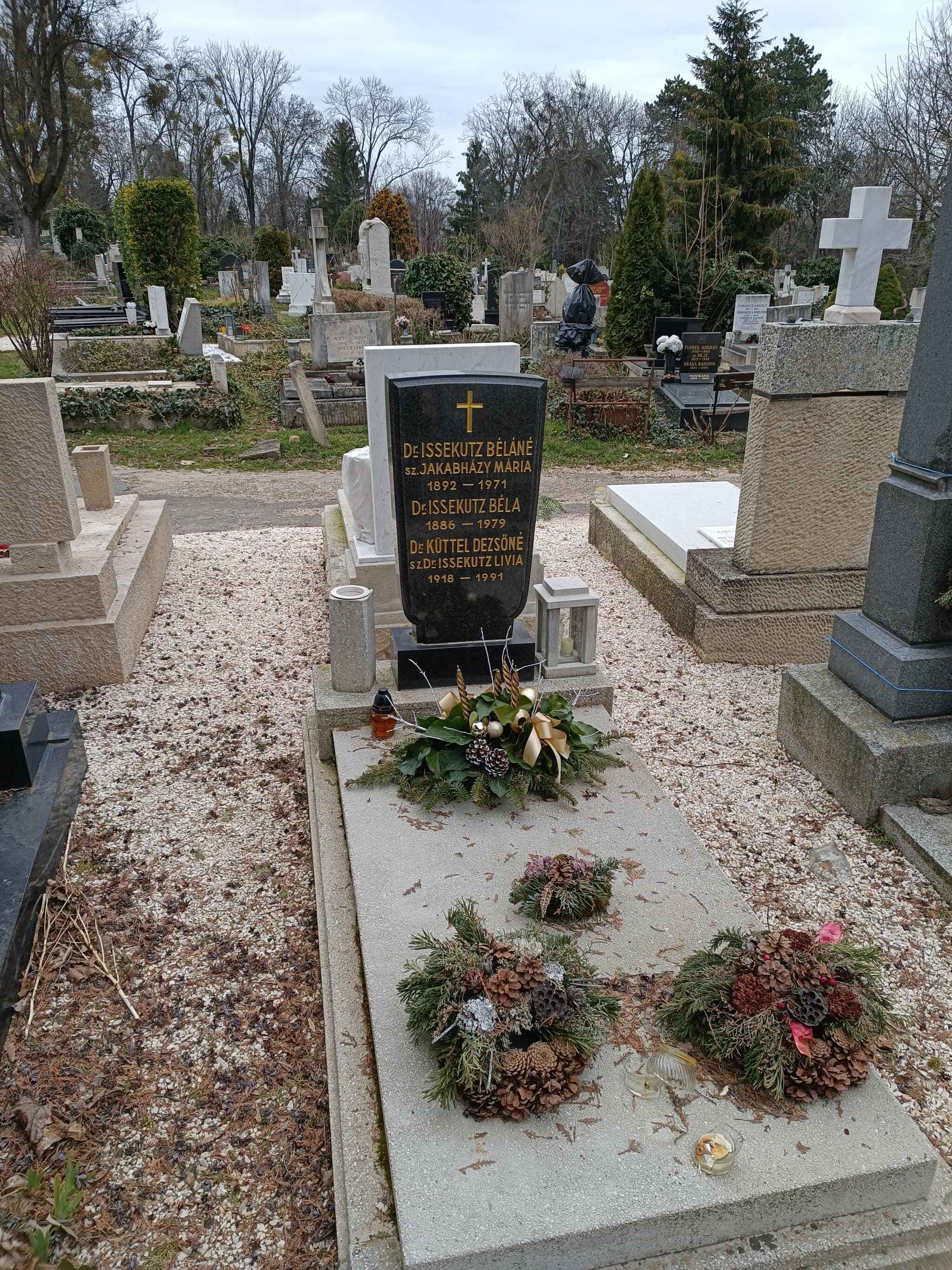 erzsébetvárosi Issekutz Béla sírja