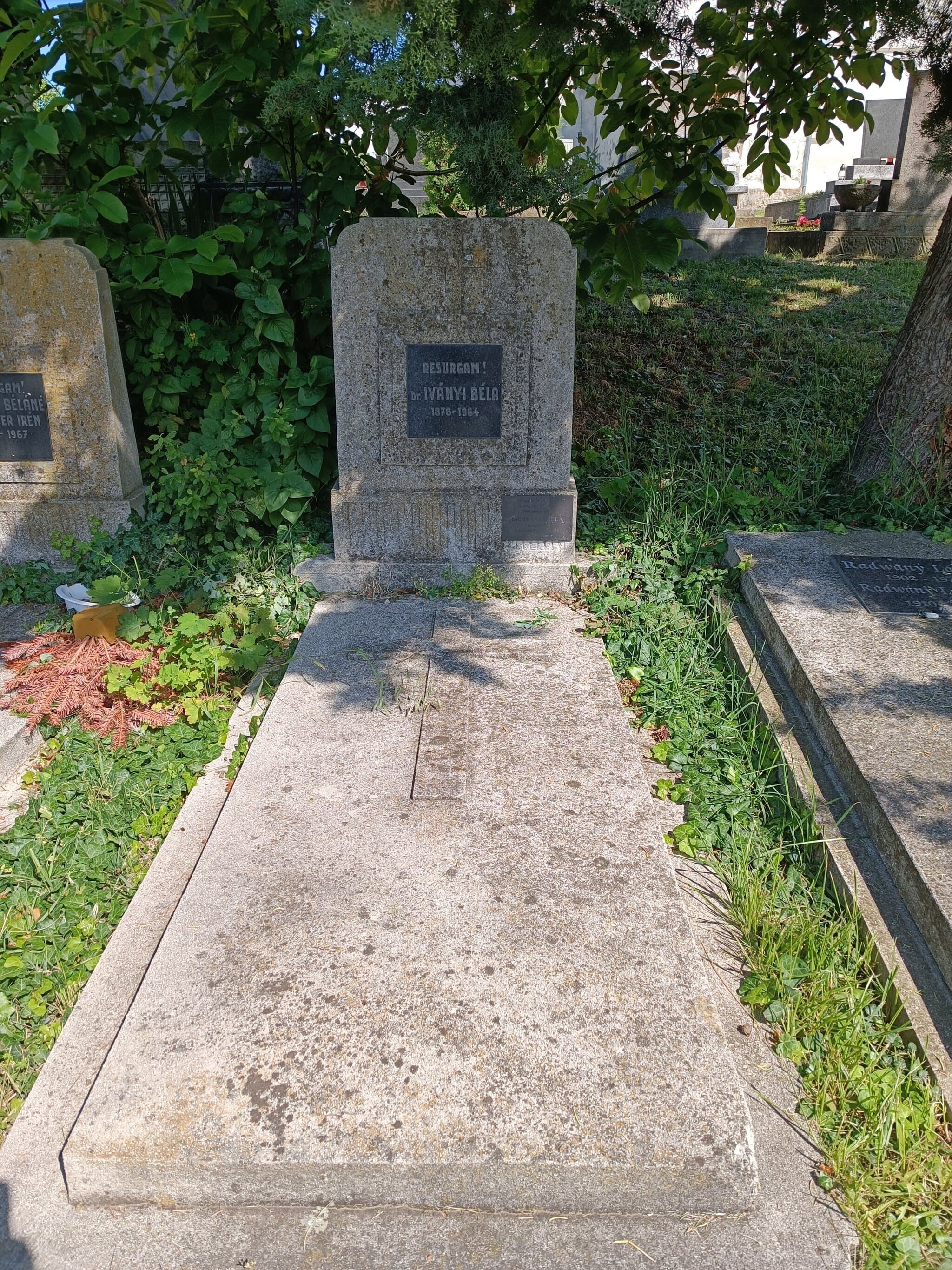Iványi Béla sírja