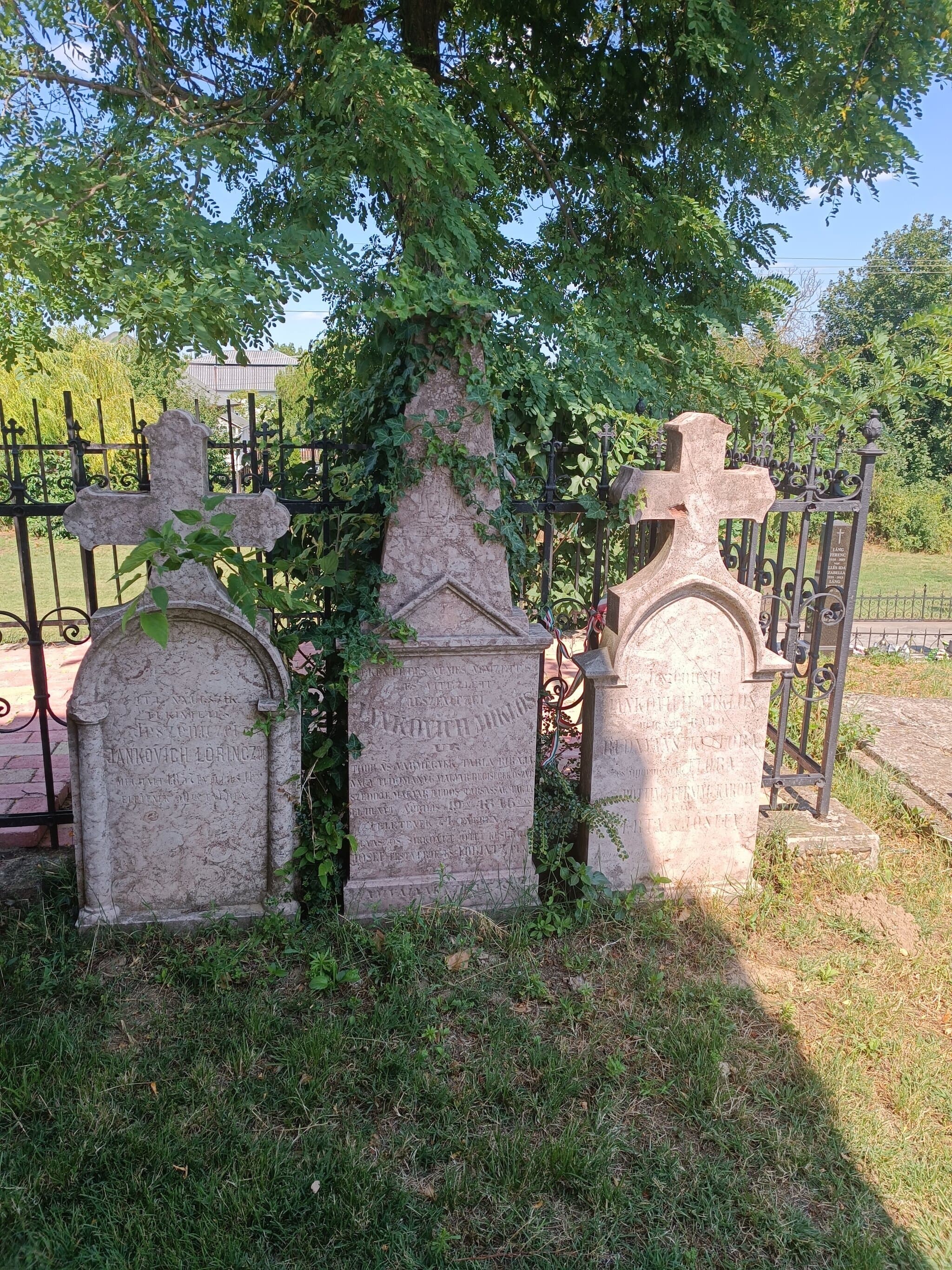 jeszeniczei Jankovich Miklós 1772 sírja