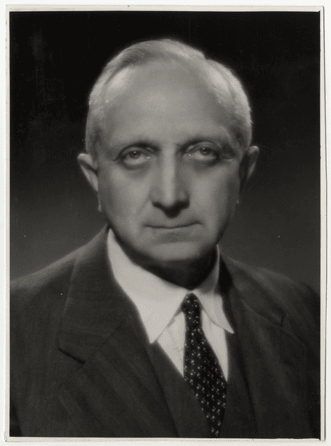 Jeszenszky Andor portréja