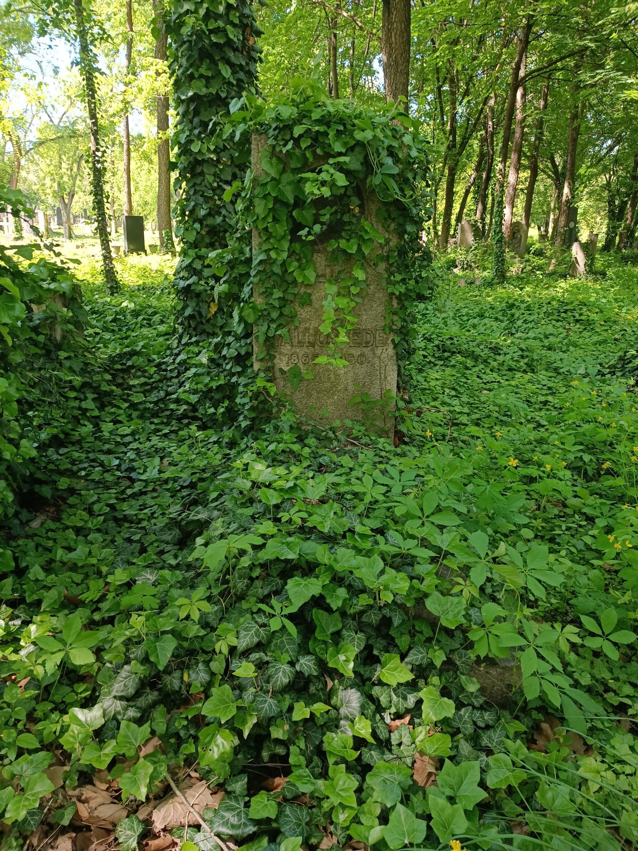Kallós Ede sírja