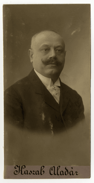 Kaszab Aladár portréja