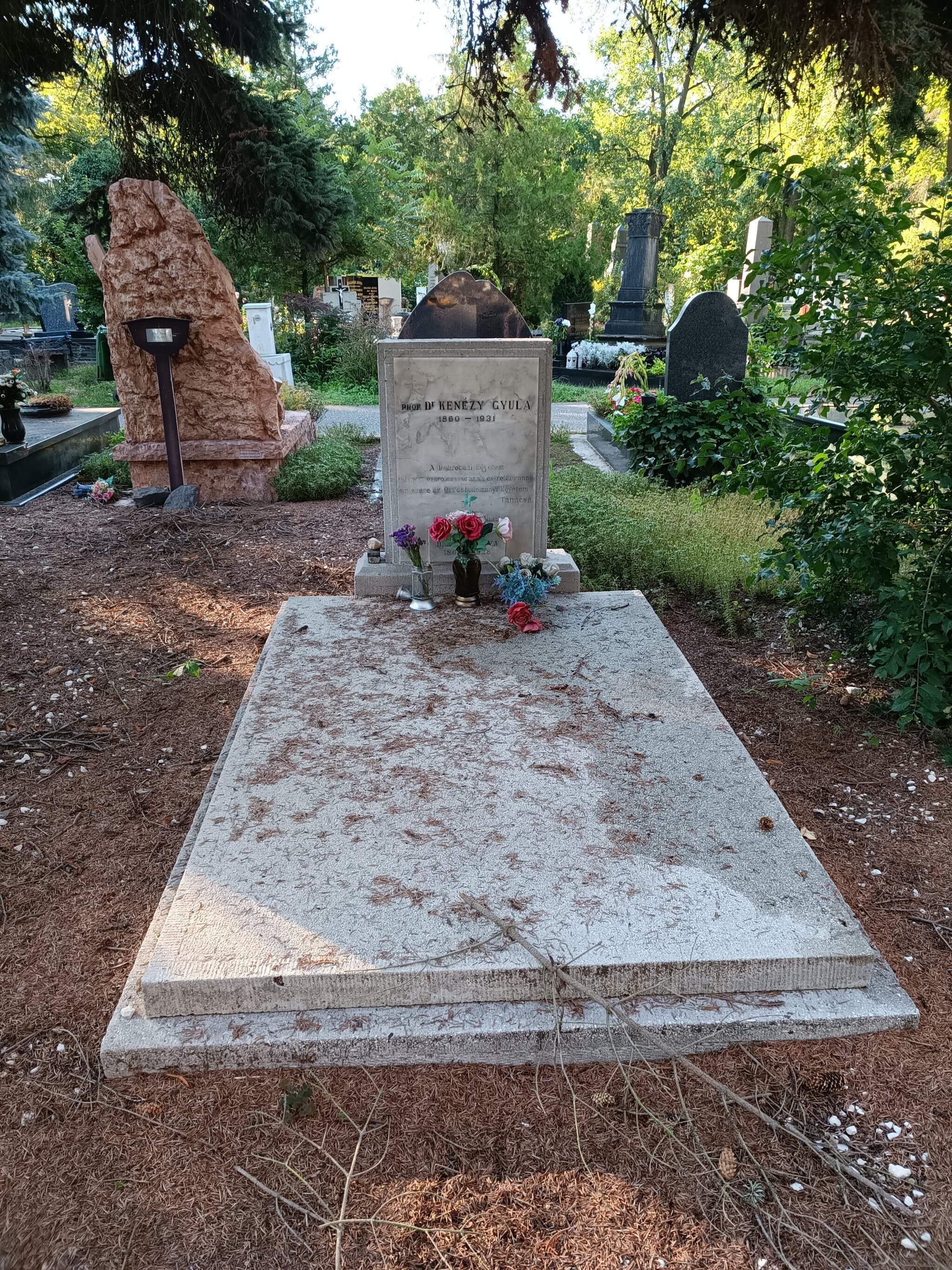 simándi Kenézy Gyula sírja