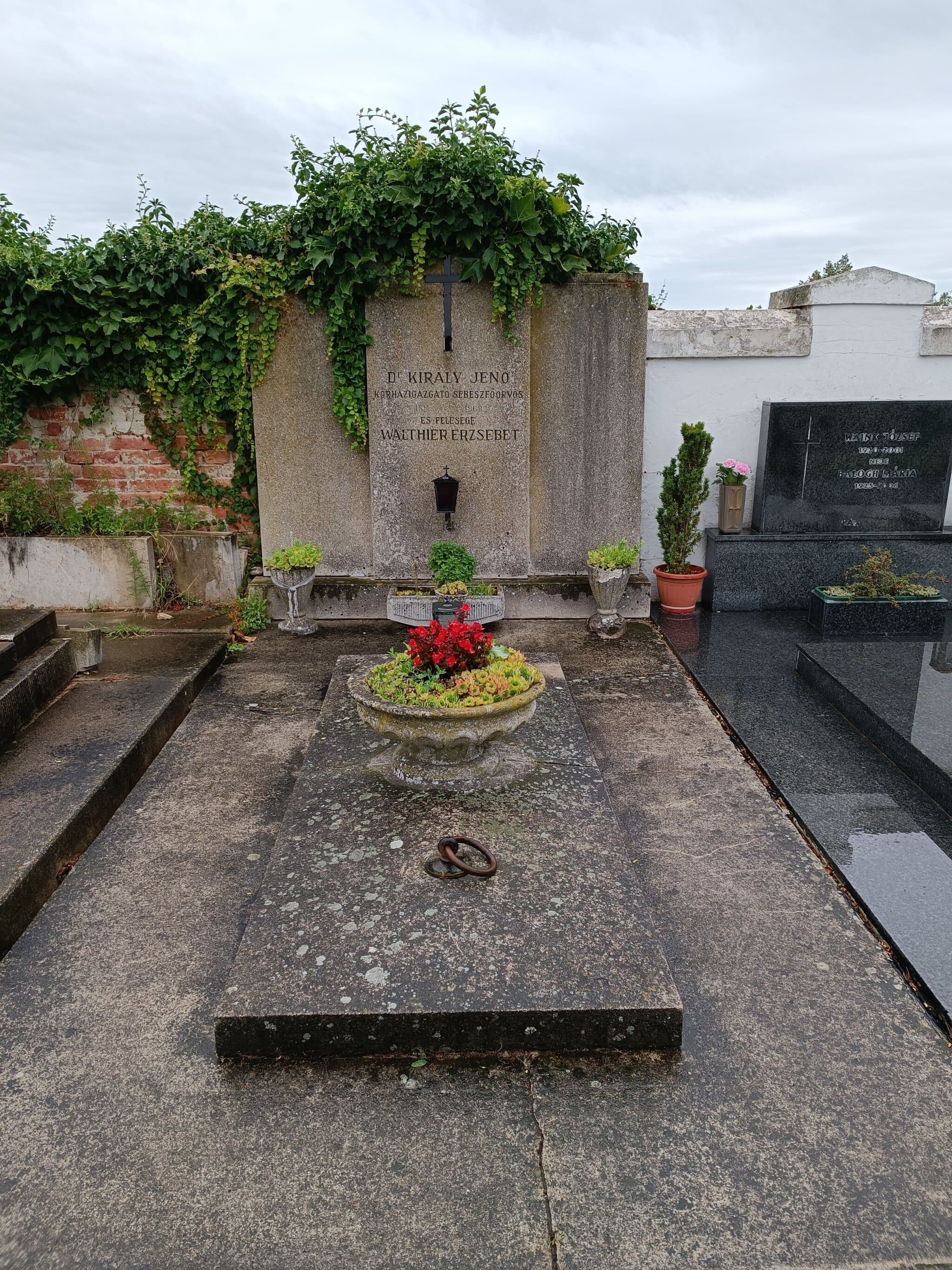 Király Jenő sírja