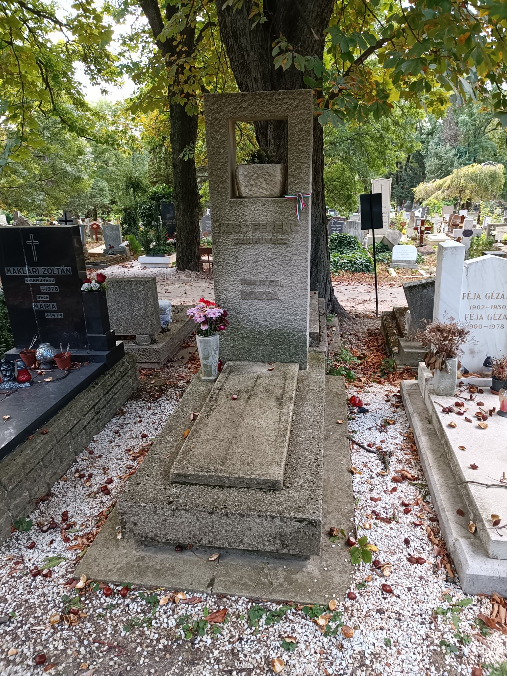 Kiss Ferenc 1893 sírja
