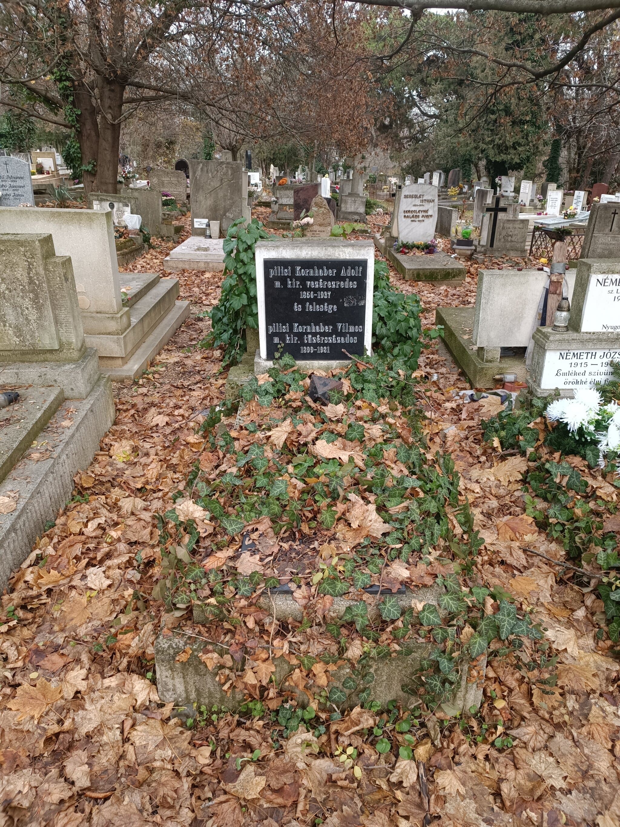 pilisi Kornhaber Adolf sírja