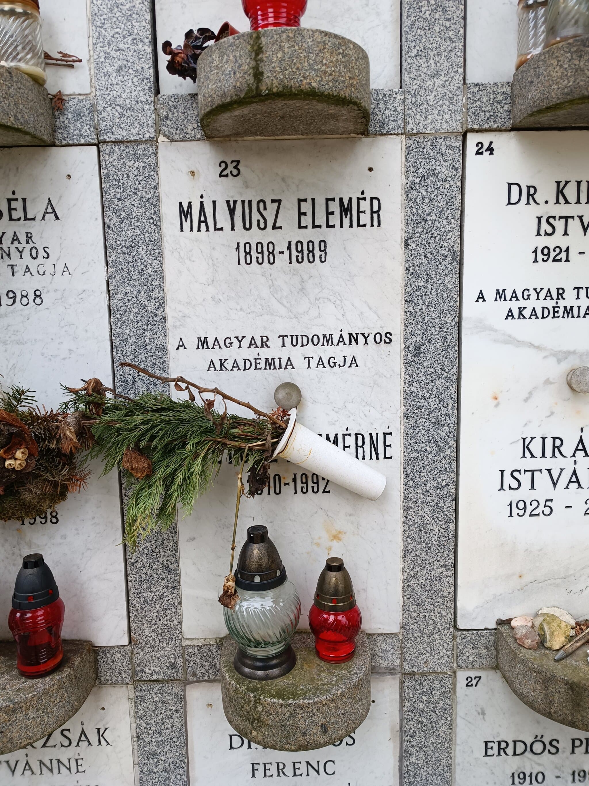 Mályusz Elemér sírja
