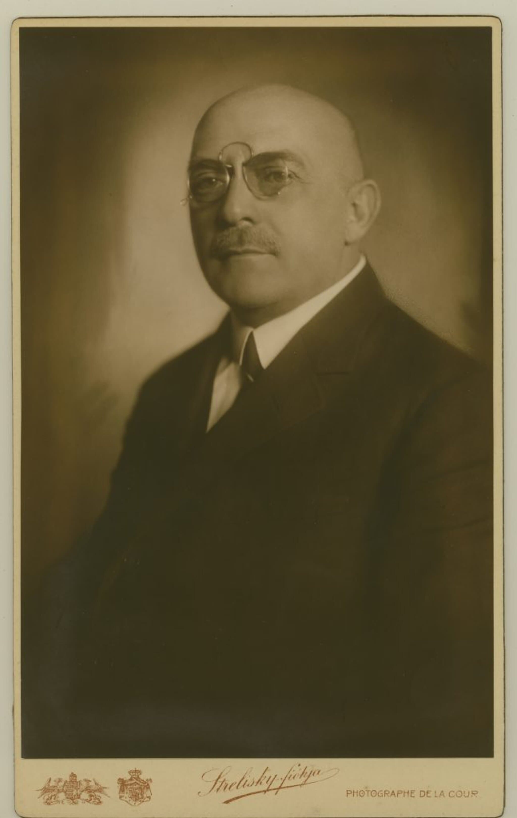 Marinovich Jenő portréja