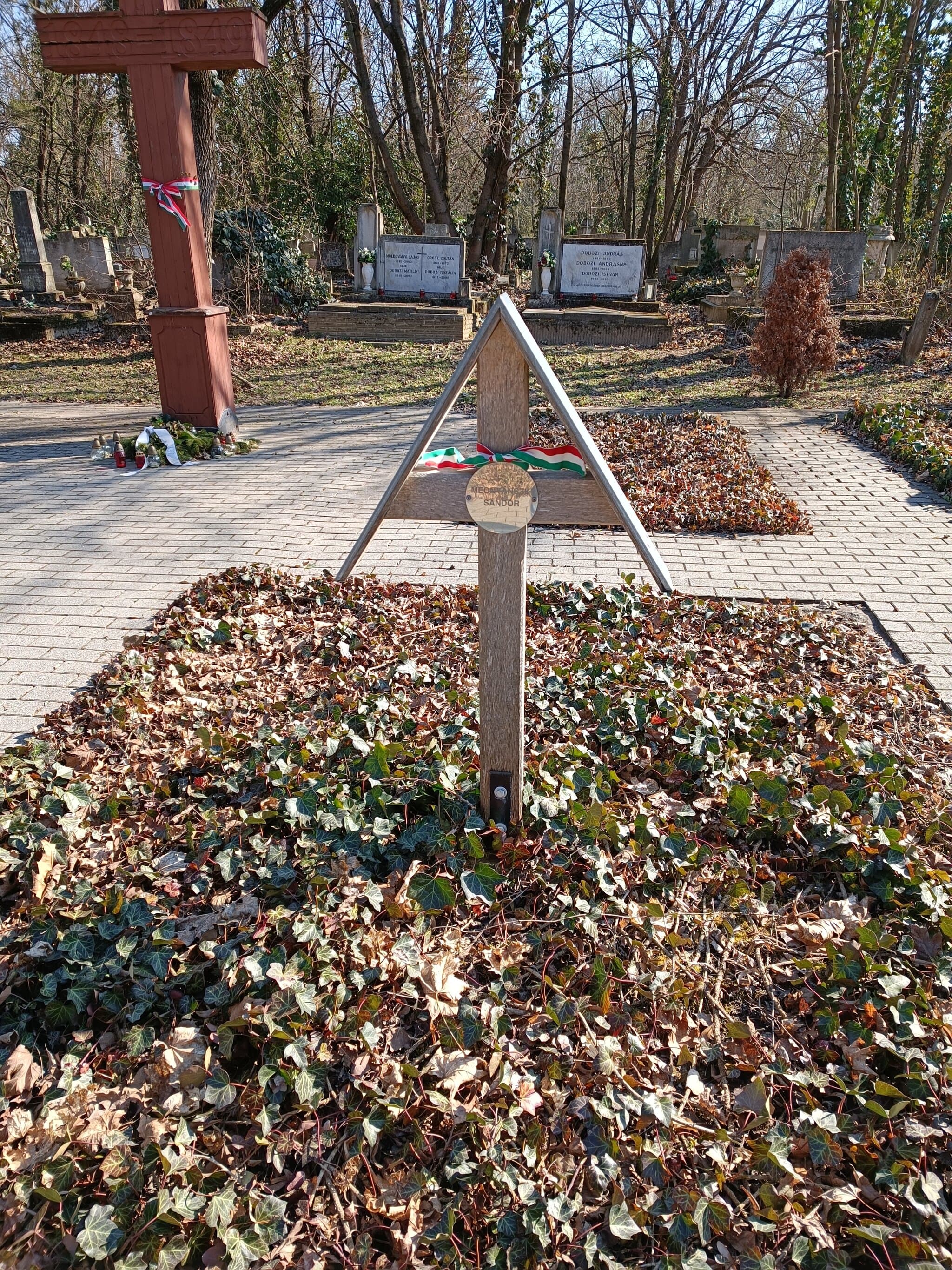 miglészi Mednyánszky Sándor sírja