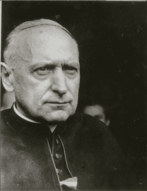 Mindszenty József portréja