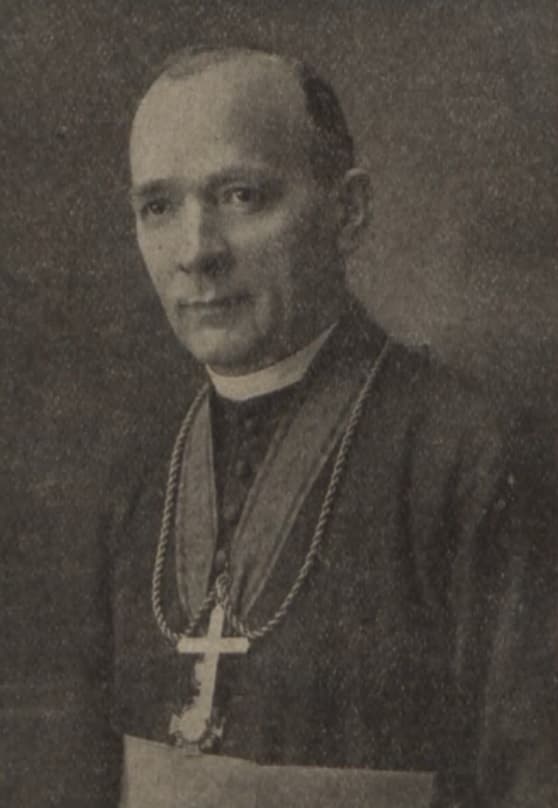 Mosonyi Dénes portréja