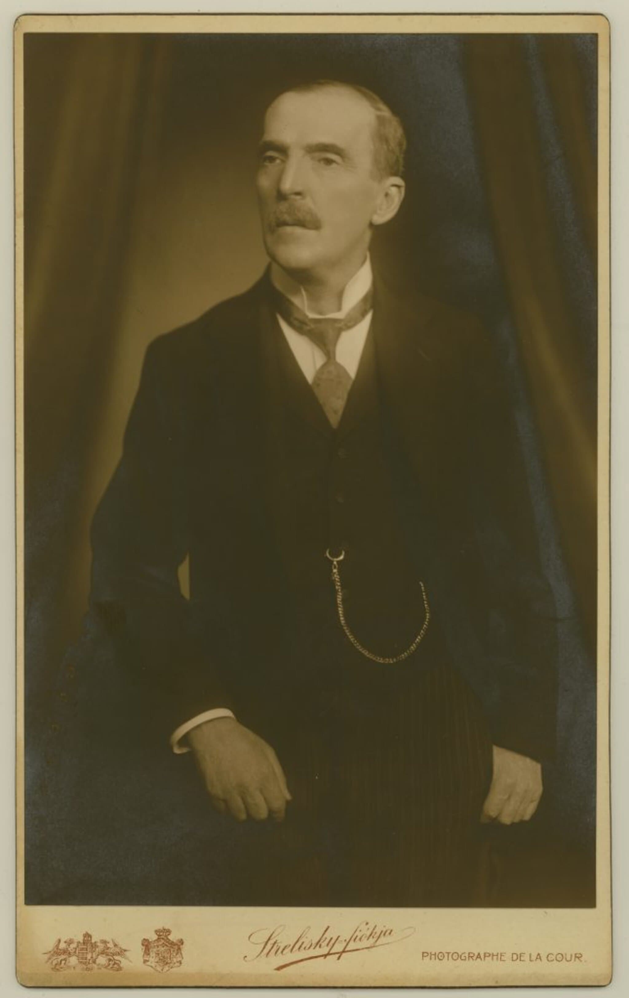 Némethy Géza portréja