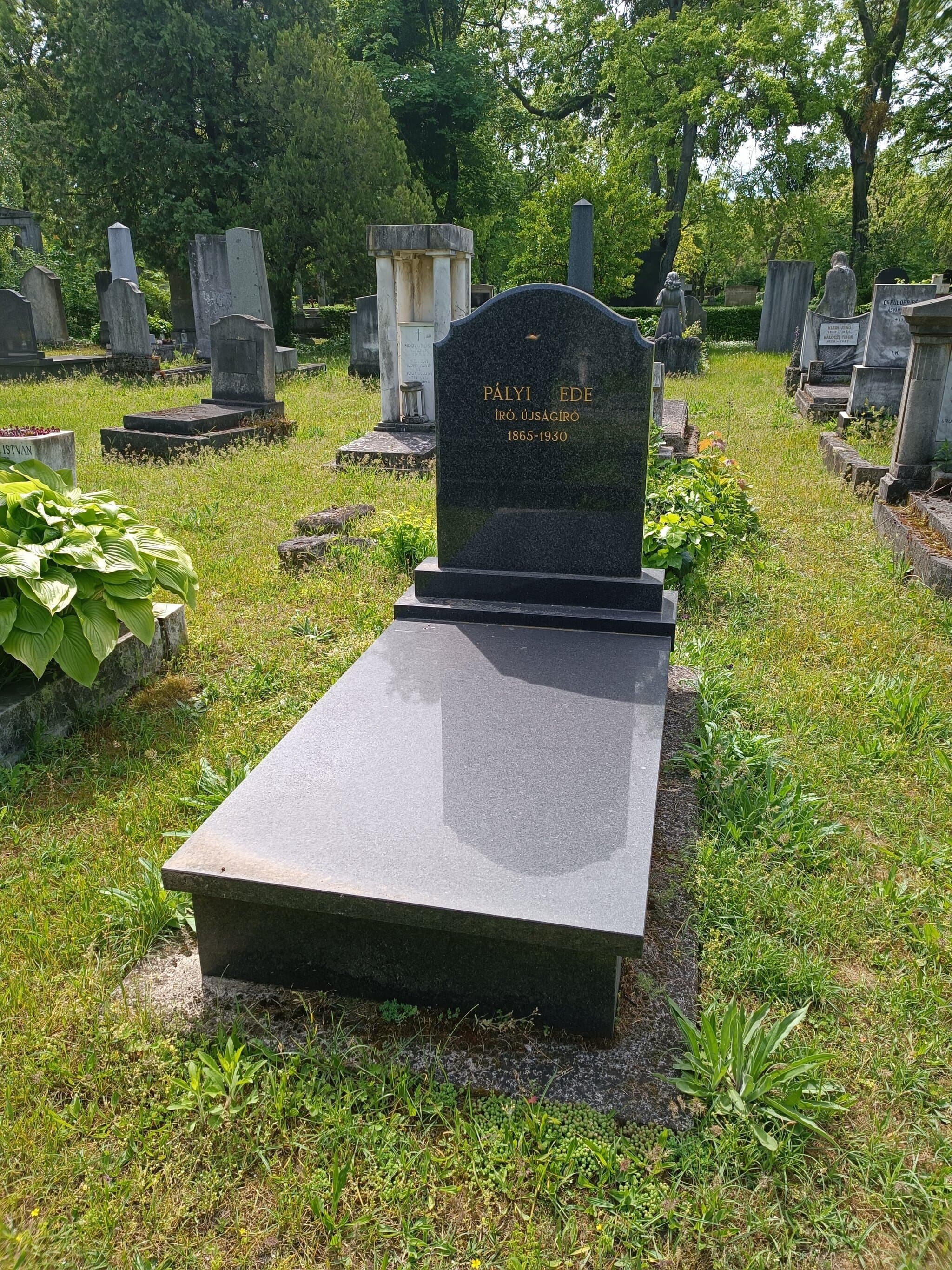 Pályi Ede sírja