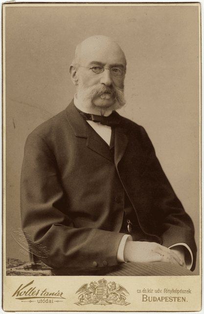 Pápay István portréja