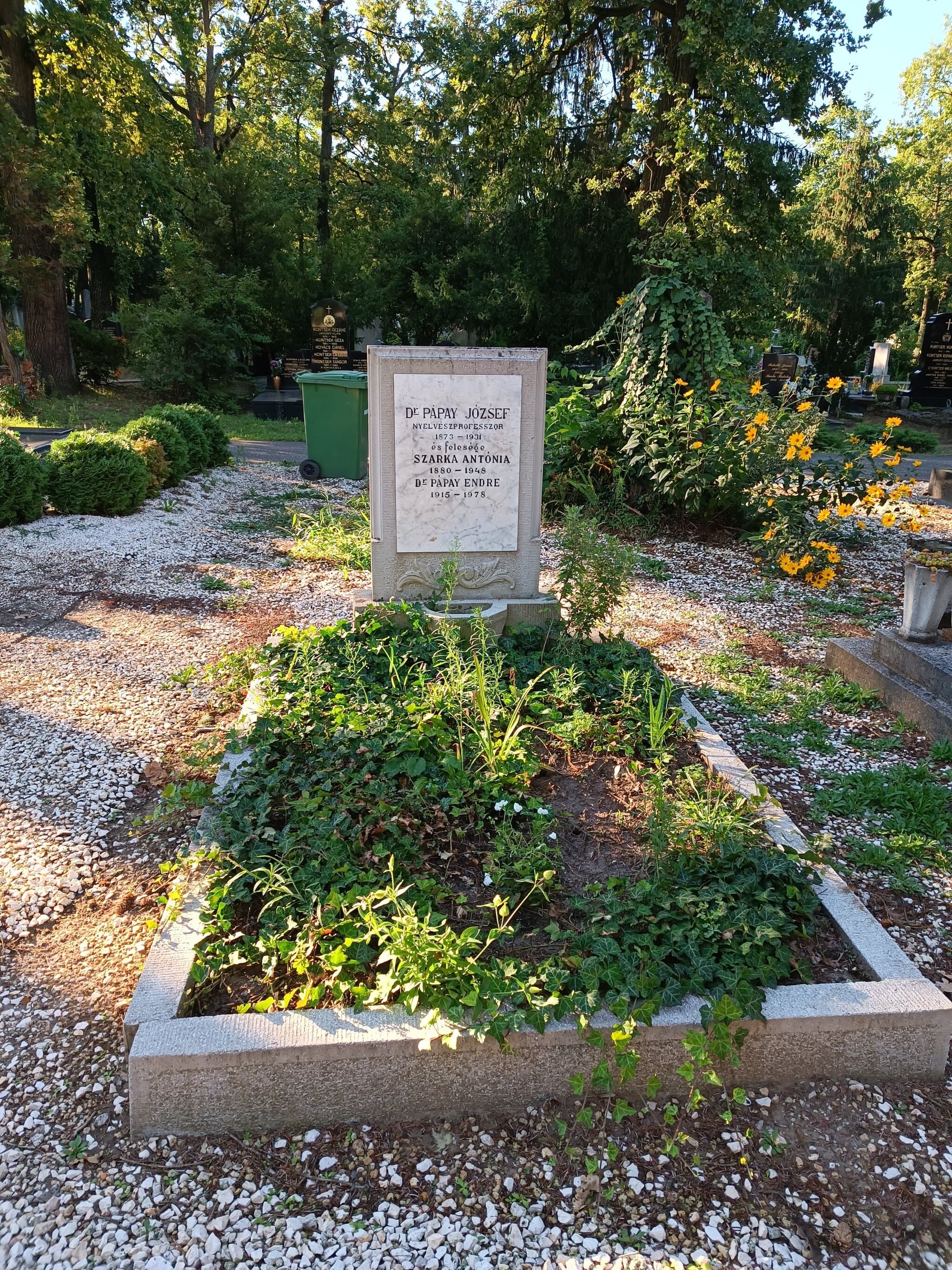 Pápay József sírja