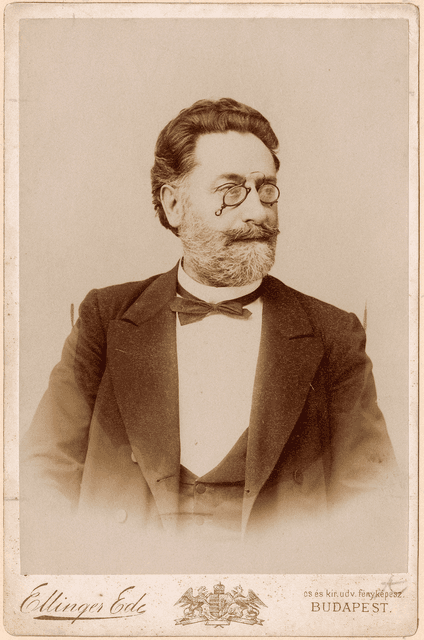 Ponori Thewrewk Emil portréja
