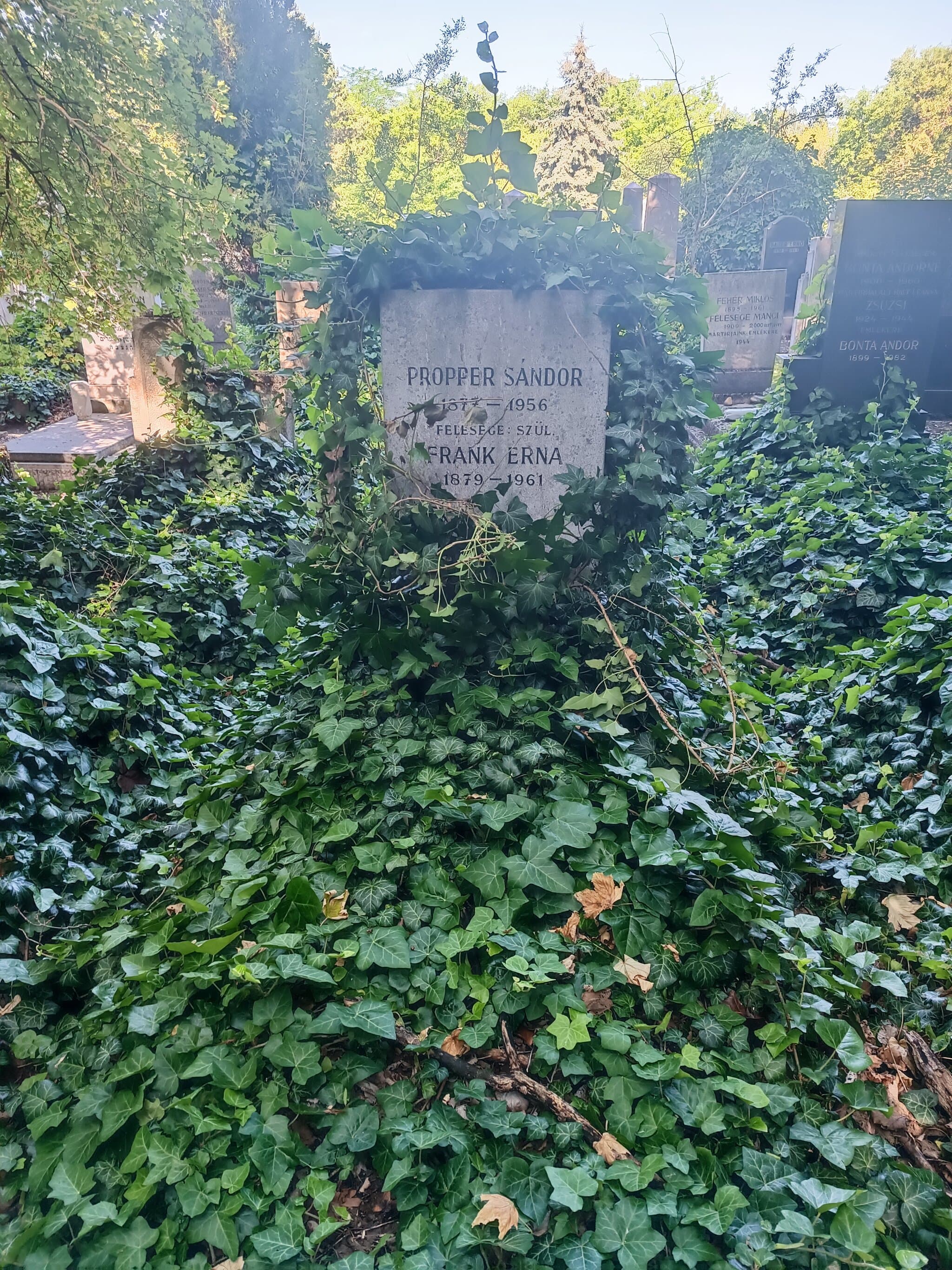 Propper Sándor sírja