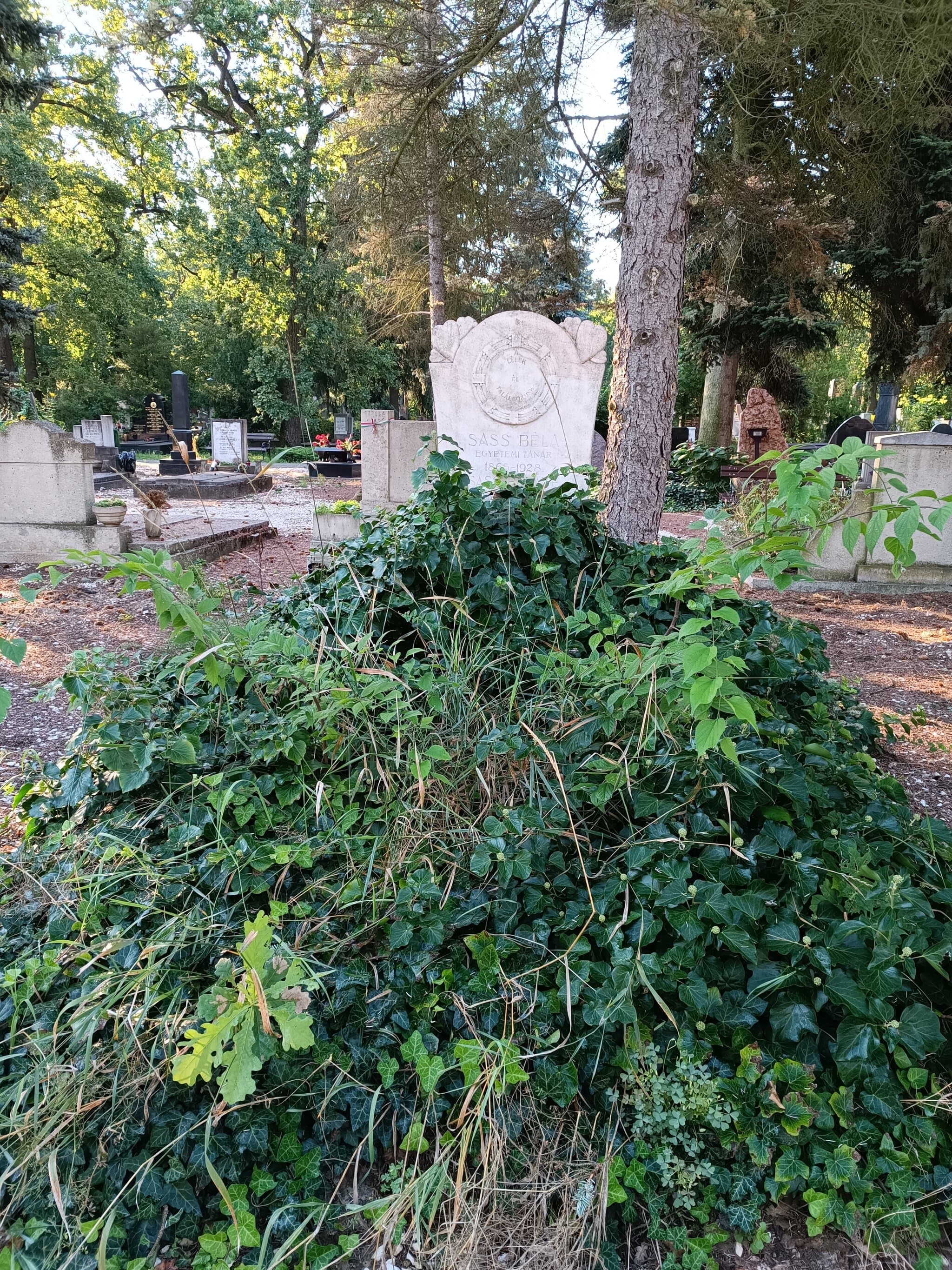 Sass Béla sírja