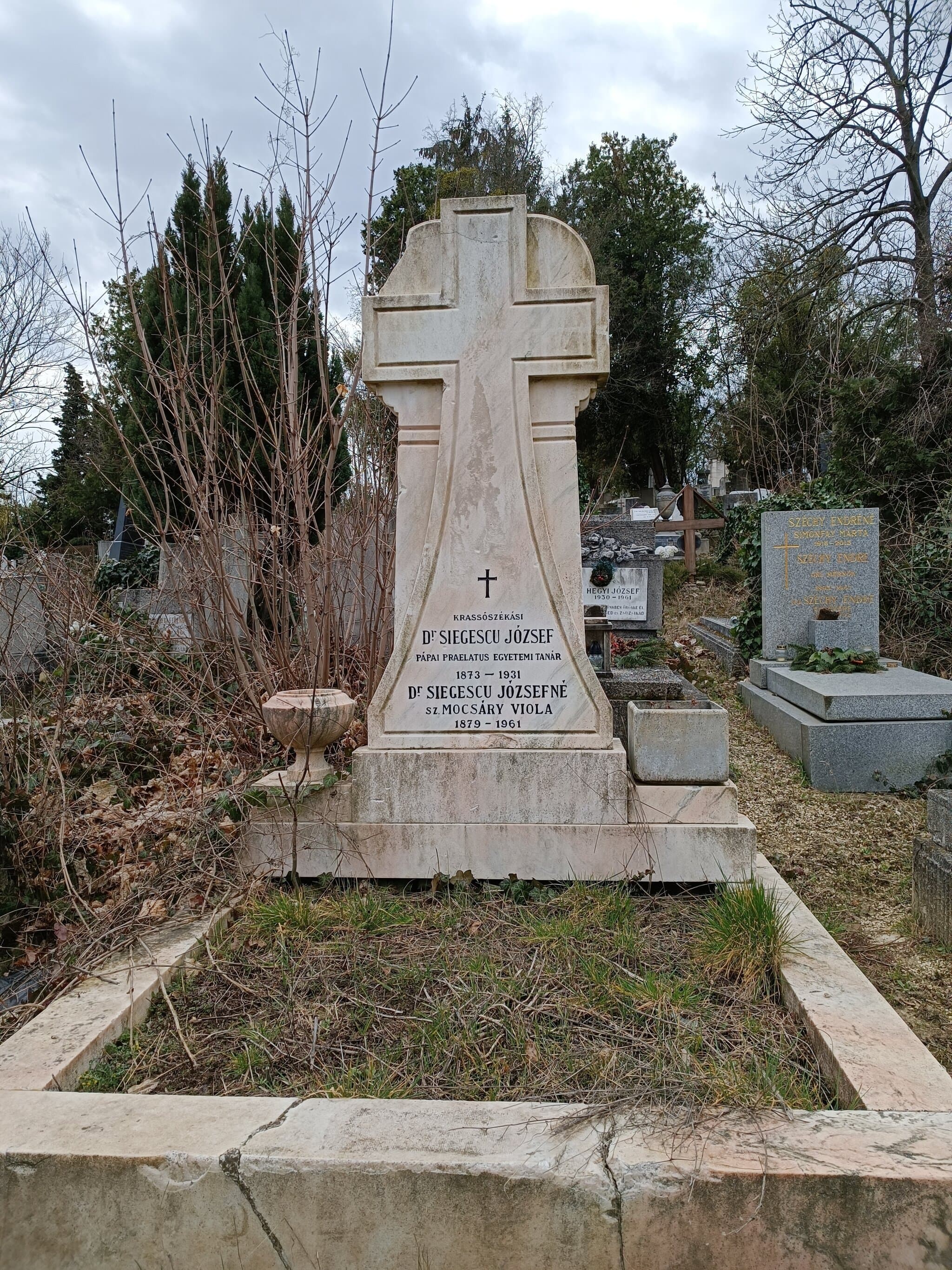 krassószékási Siegescu József sírja
