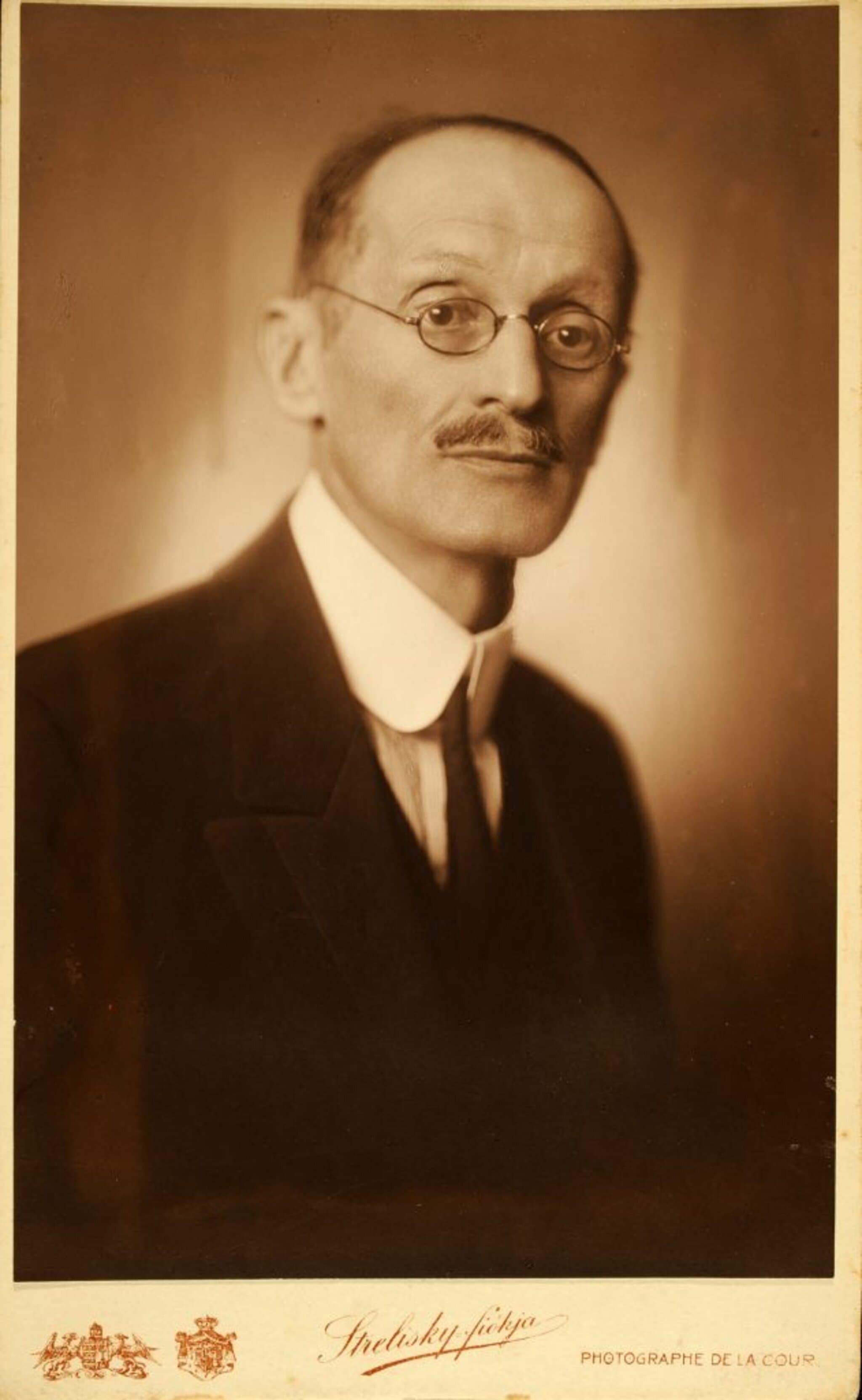 'Sigmond Elek portréja
